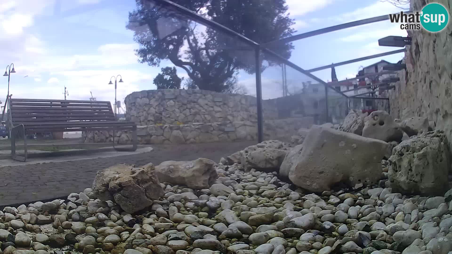 Zunanji morski akvarij Rogoznica spletna kamera Hrvaška