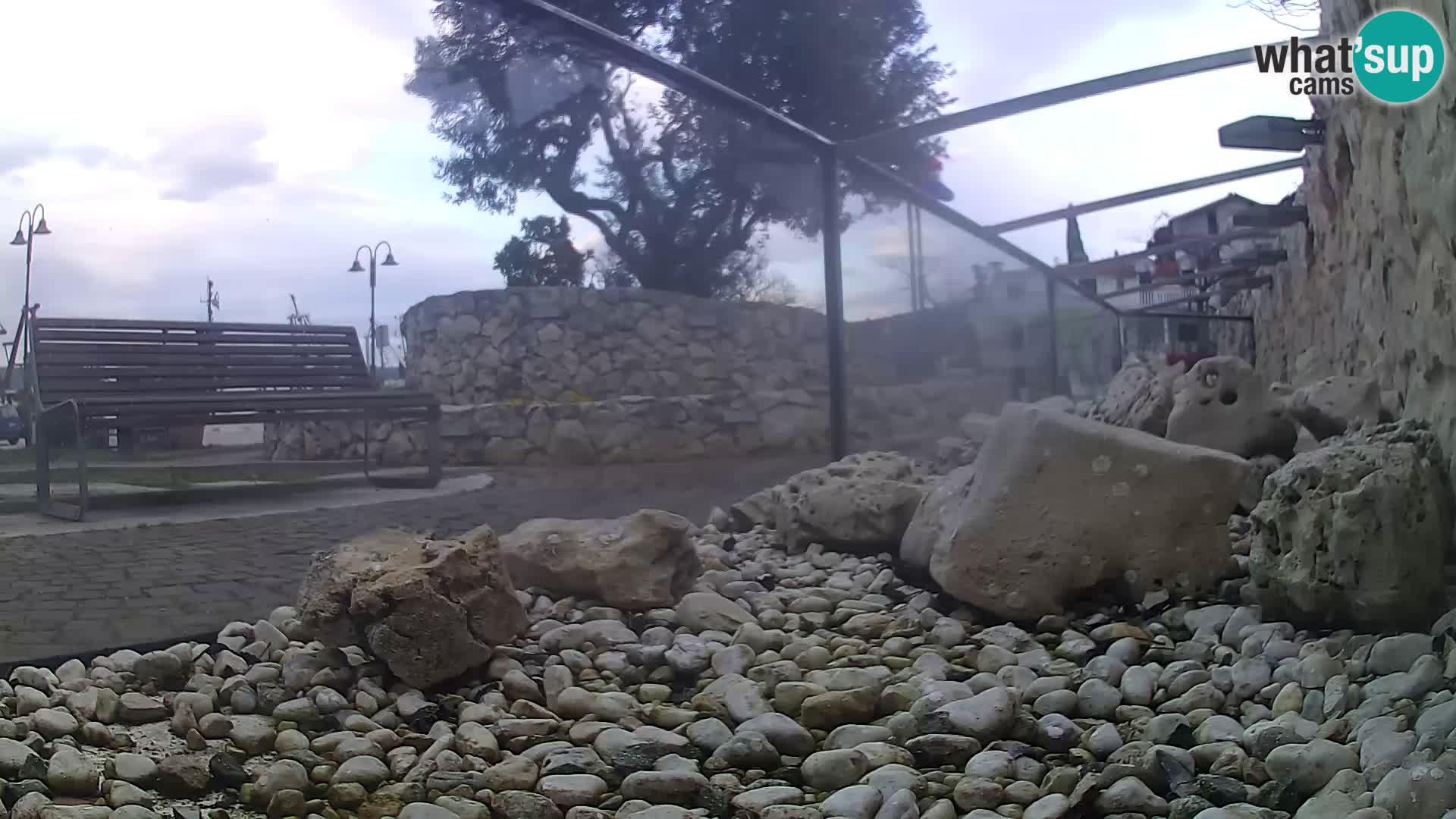 Outdoor Marine Aquarium Rogoznica webcam Croatia