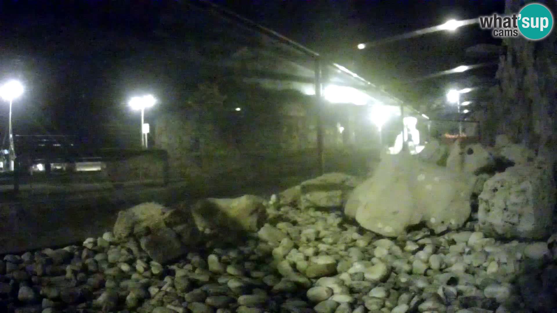 Outdoor Marine Aquarium Rogoznica webcam Croatia