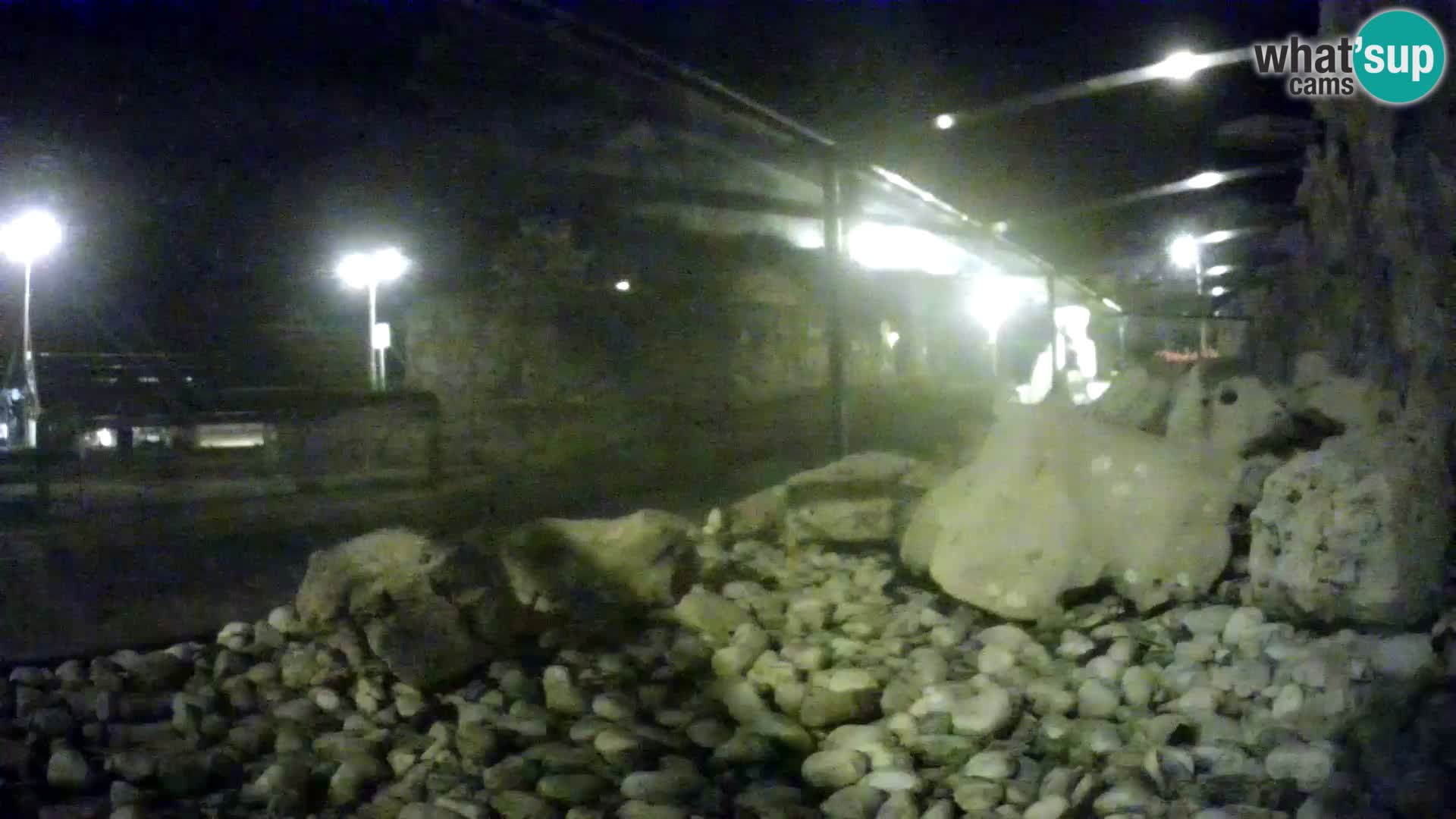 Outdoor Marine Aquarium Rogoznica webcam Croatia