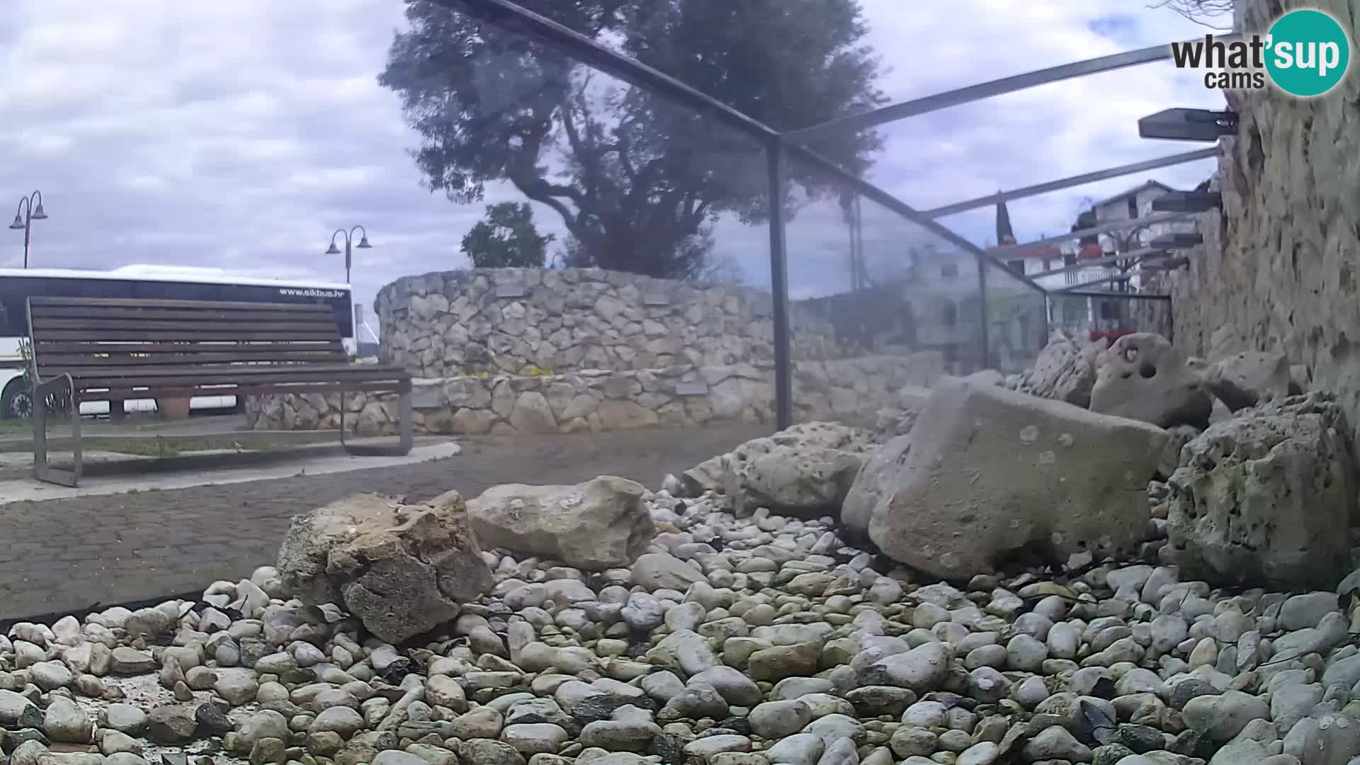 Marine Aquarium im Freien Rogoznica webcam Kroatien
