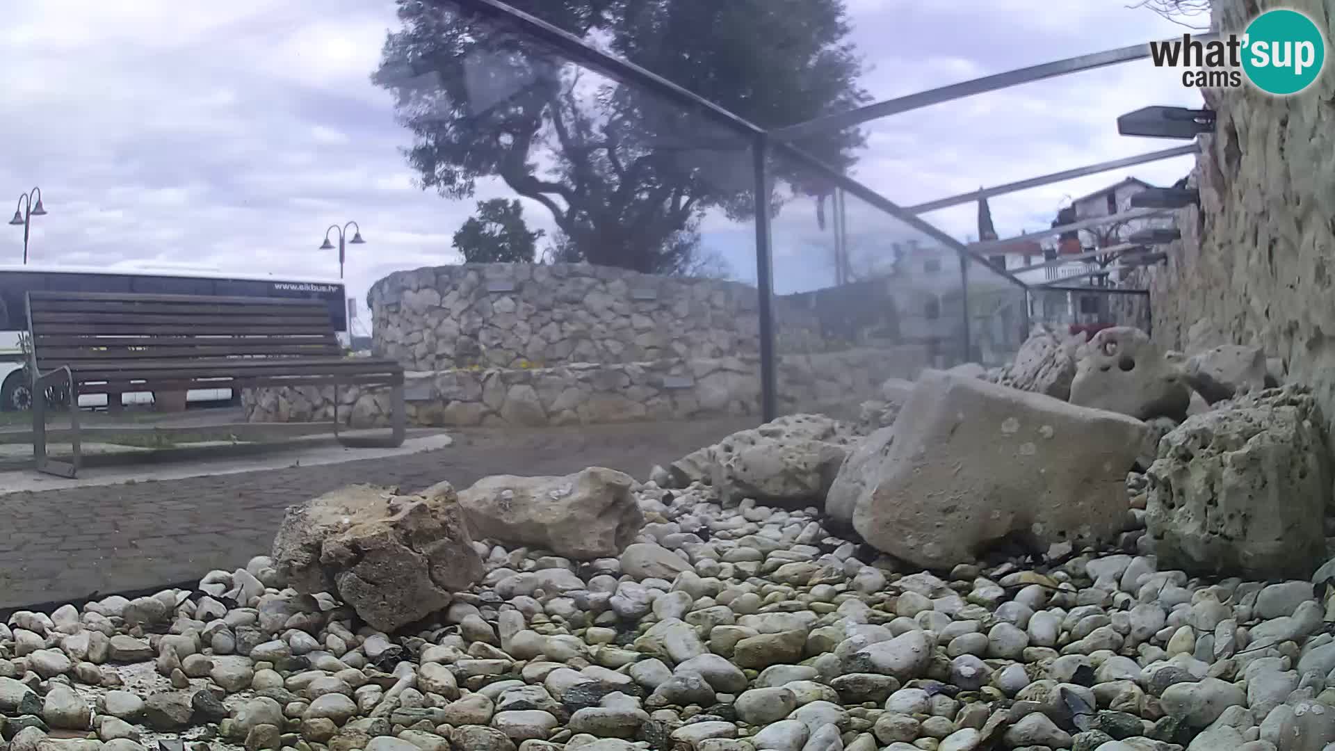 Zunanji morski akvarij Rogoznica spletna kamera Hrvaška