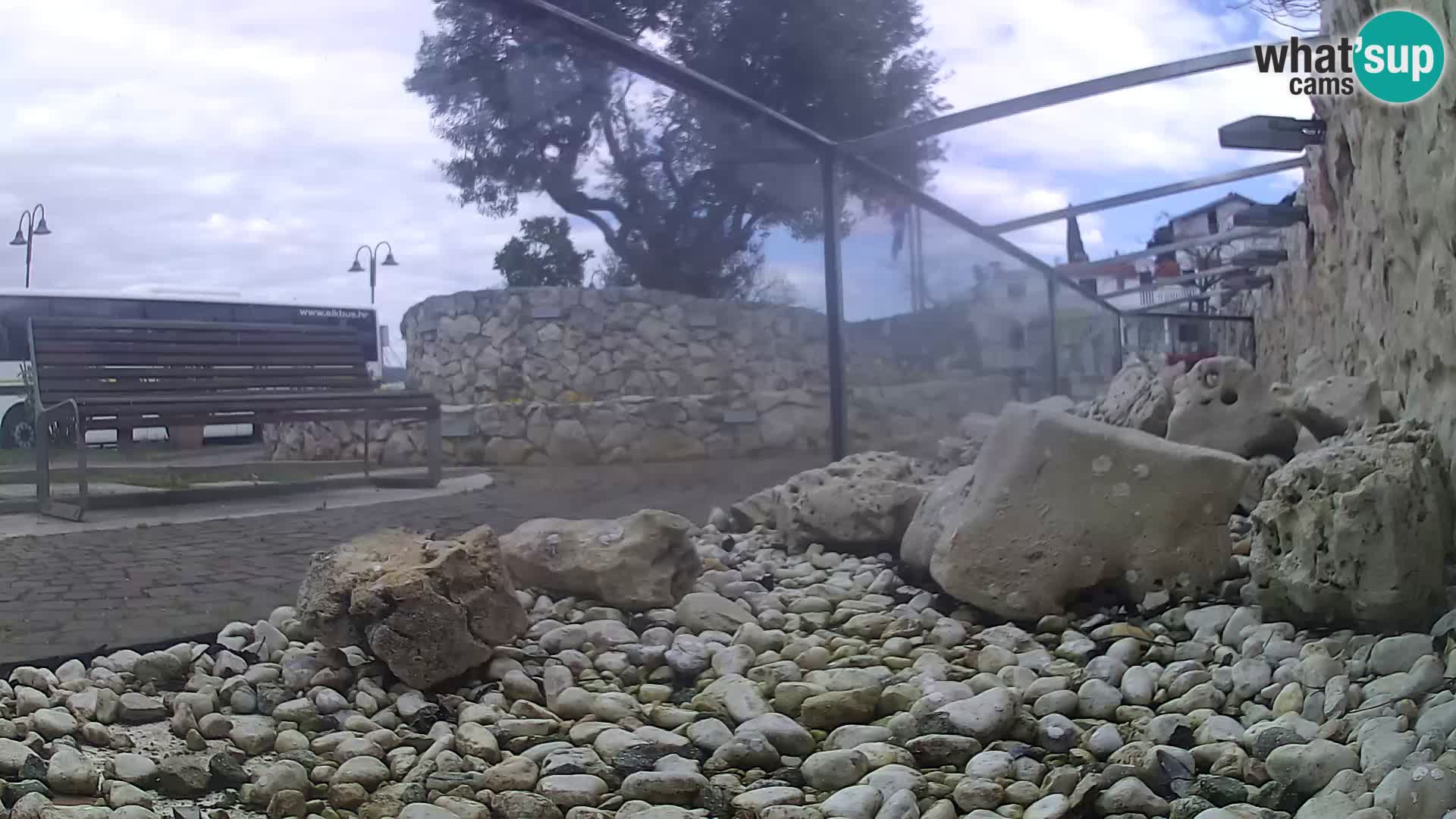 Zunanji morski akvarij Rogoznica spletna kamera Hrvaška