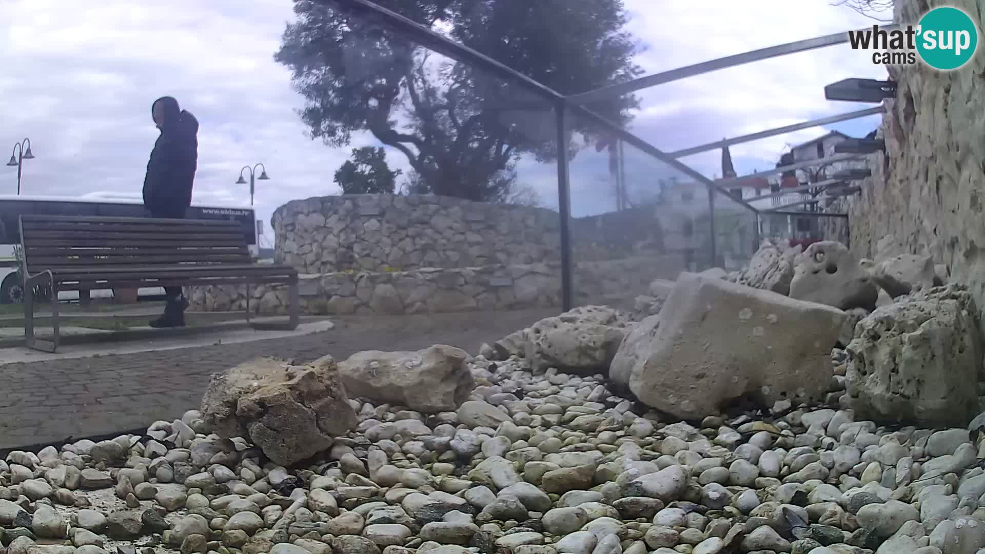 Webcam de l’aquarium marin extérieur de Rogoznica Croatie