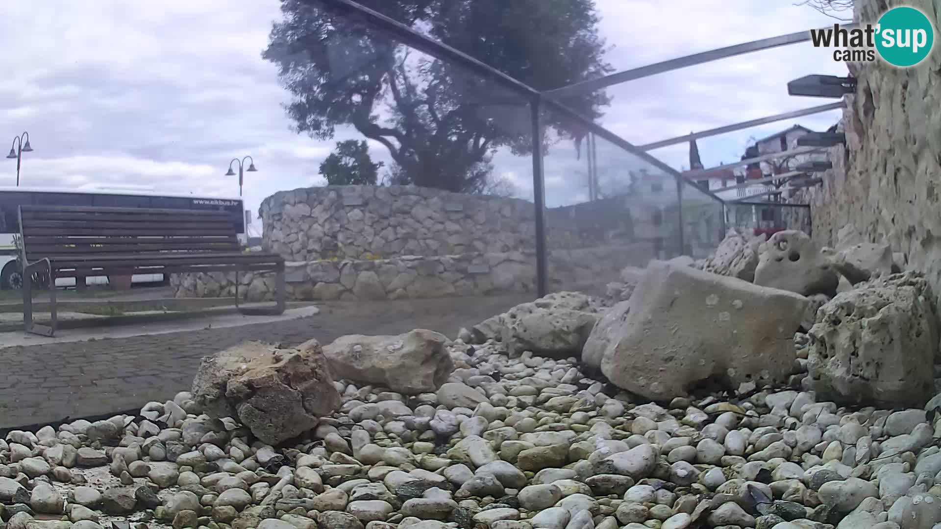 Outdoor Marine Aquarium Rogoznica webcam Croatia