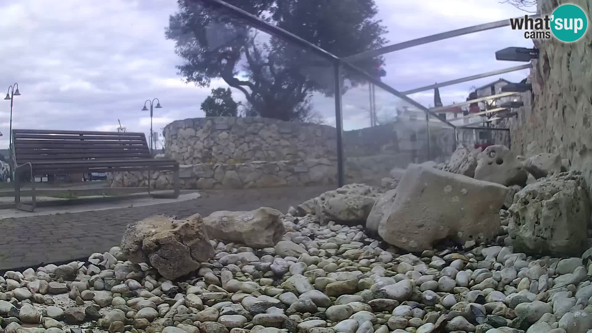 Vanjski morski akvarij Rogoznica web kamera Hrvatska