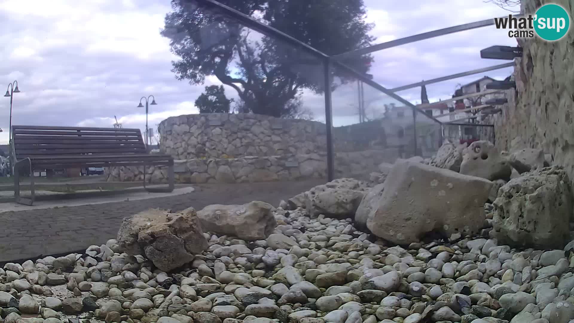 Zunanji morski akvarij Rogoznica spletna kamera Hrvaška