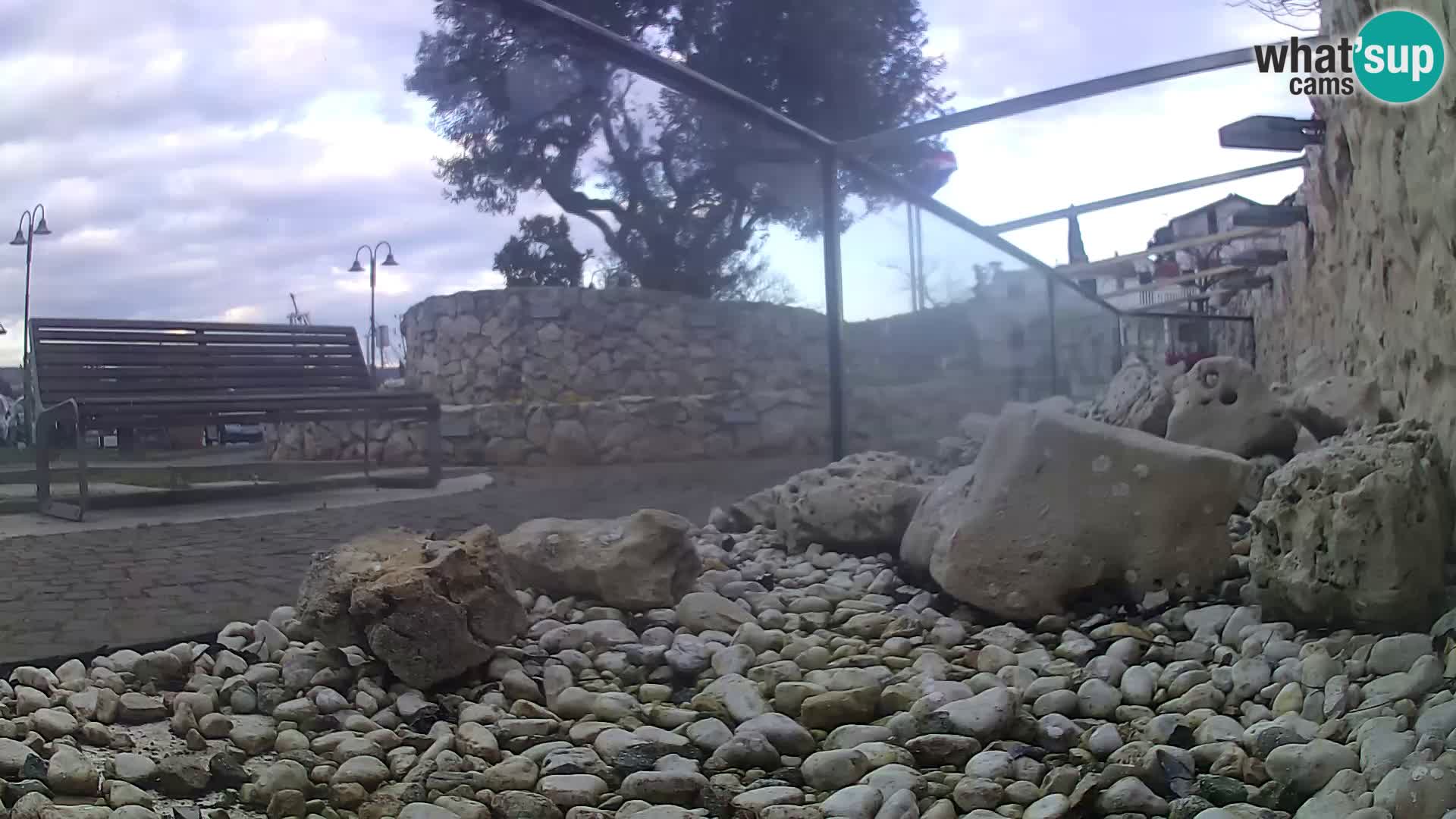 Aquario marino esterno –  Rogoznica livecam Croazia