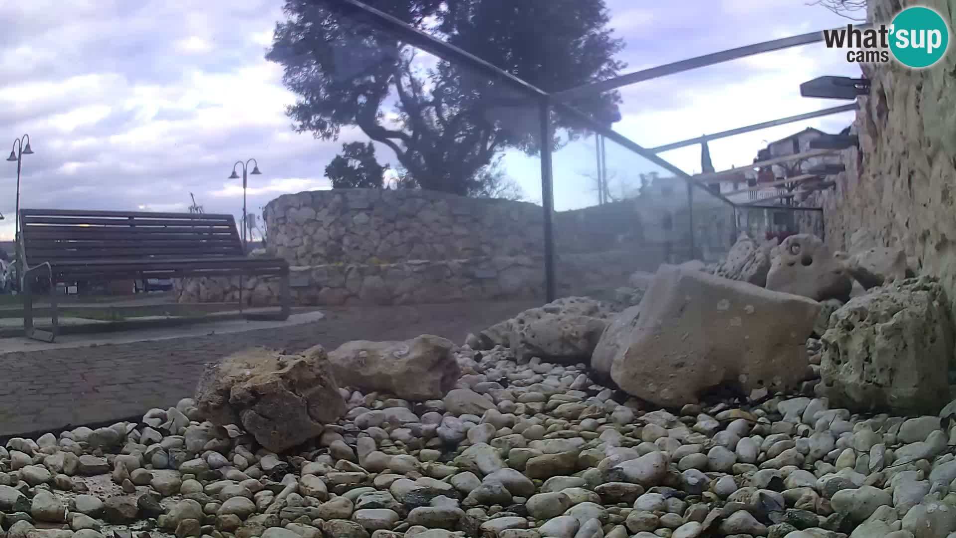 Webcam de l’aquarium marin extérieur de Rogoznica Croatie