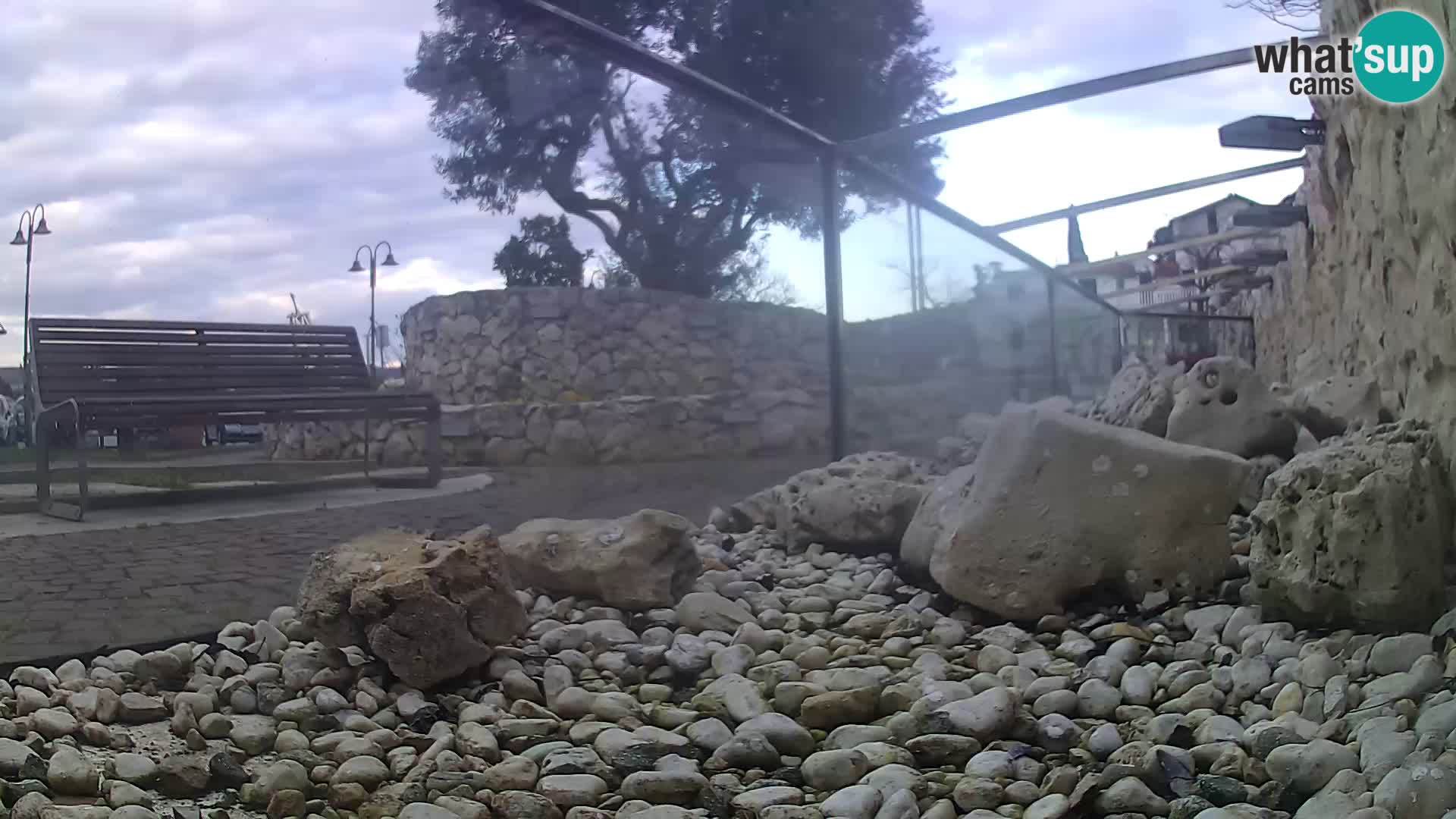 Aquario marino esterno –  Rogoznica livecam Croazia