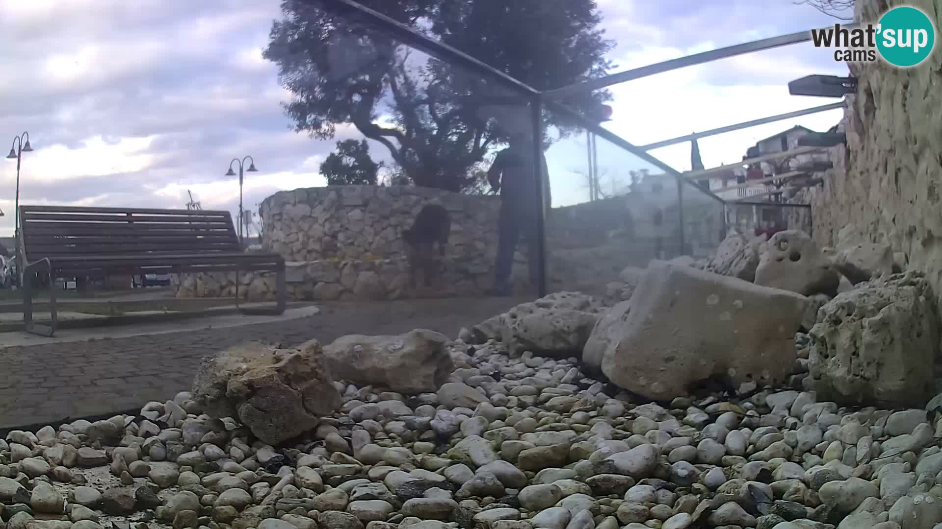 Marine Aquarium im Freien Rogoznica webcam Kroatien