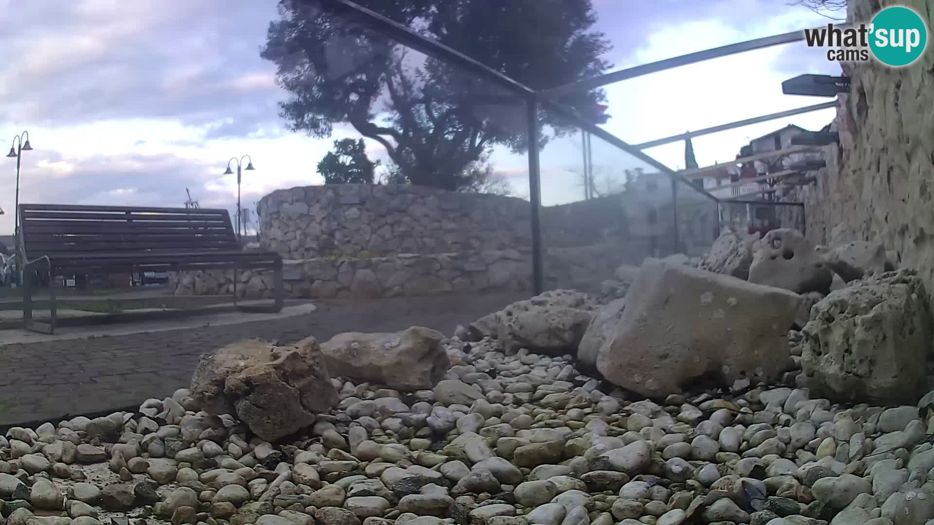 Marine Aquarium im Freien Rogoznica webcam Kroatien