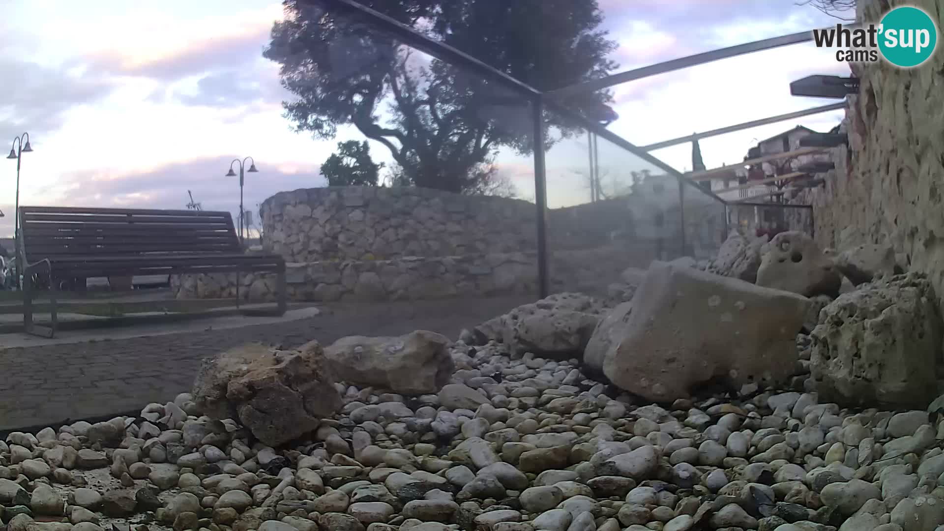 Acuario marino al aire libre Rogoznica webcam Croacia