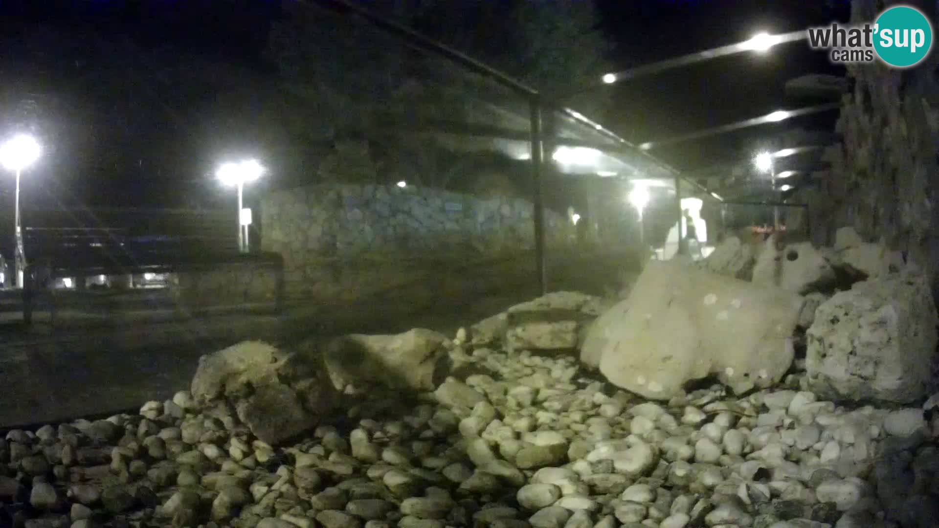 Webcam de l’aquarium marin extérieur de Rogoznica Croatie