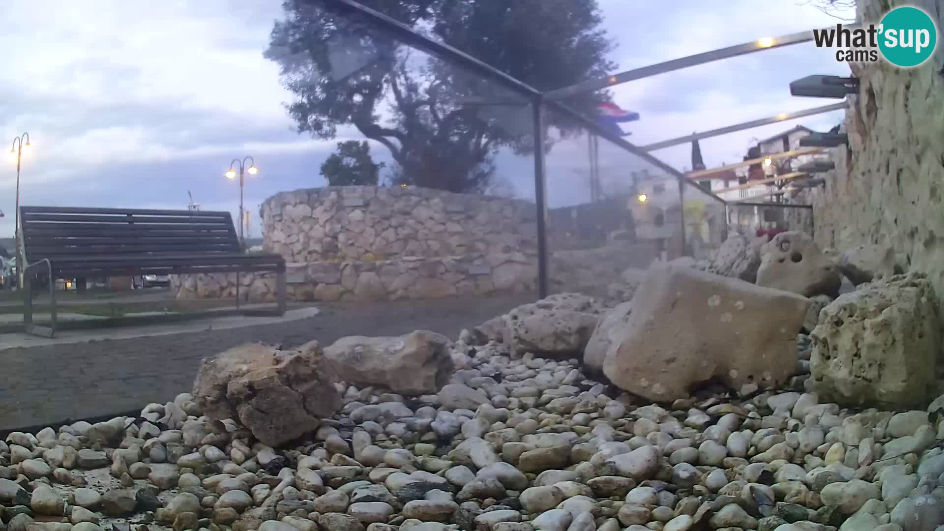 Aquario marino esterno –  Rogoznica livecam Croazia