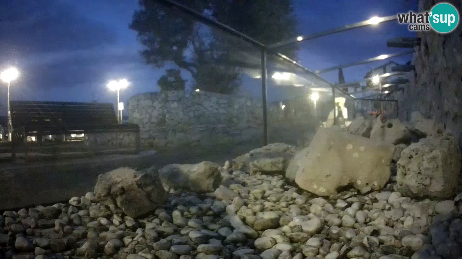 Outdoor Marine Aquarium Rogoznica webcam Croatia