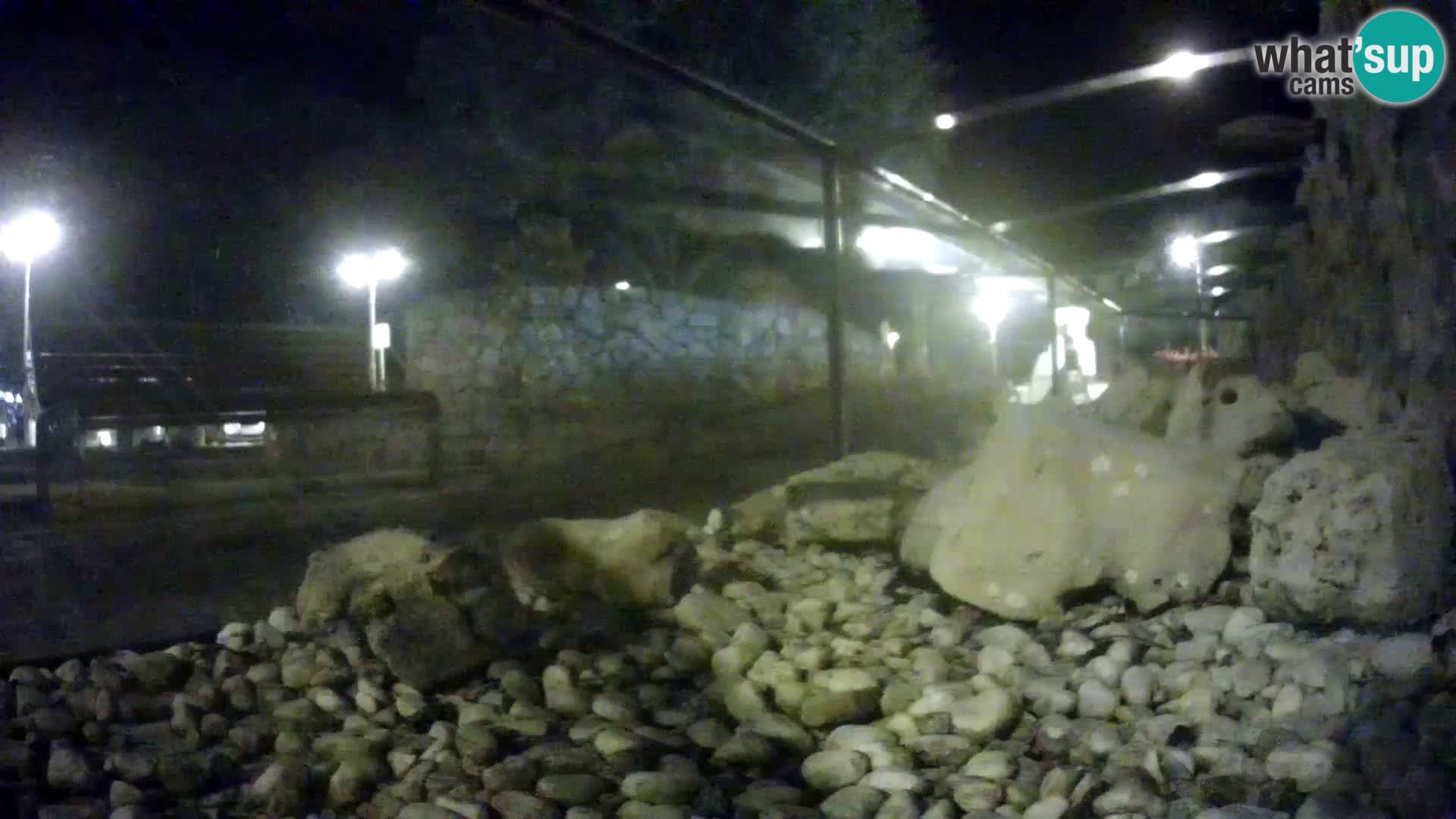 Aquario marino esterno –  Rogoznica livecam Croazia