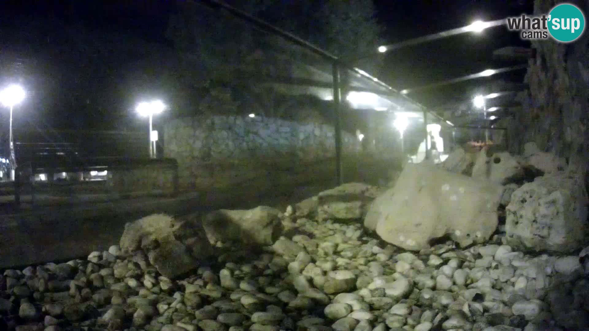 Marine Aquarium im Freien Rogoznica webcam Kroatien