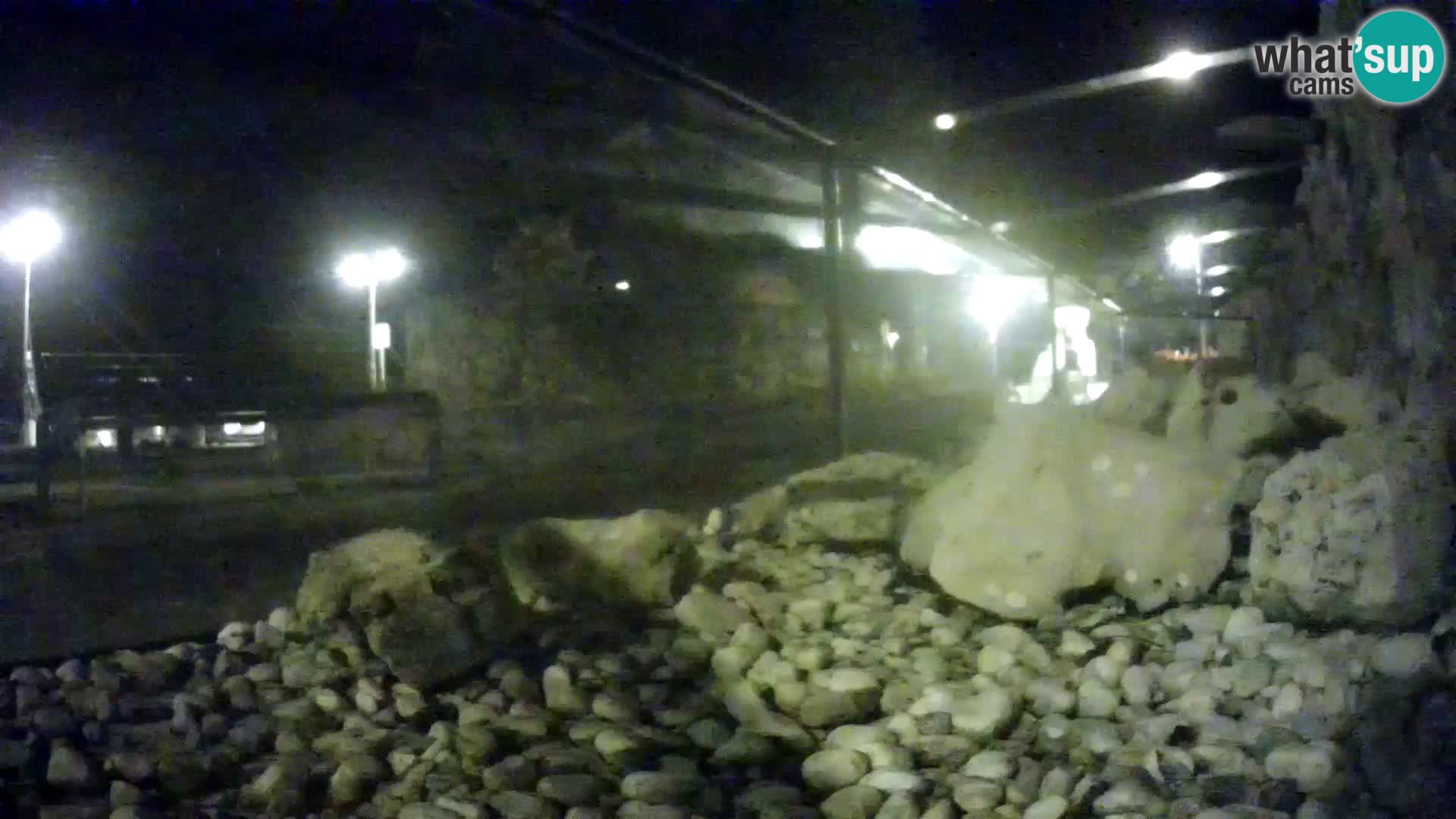 Webcam de l’aquarium marin extérieur de Rogoznica Croatie