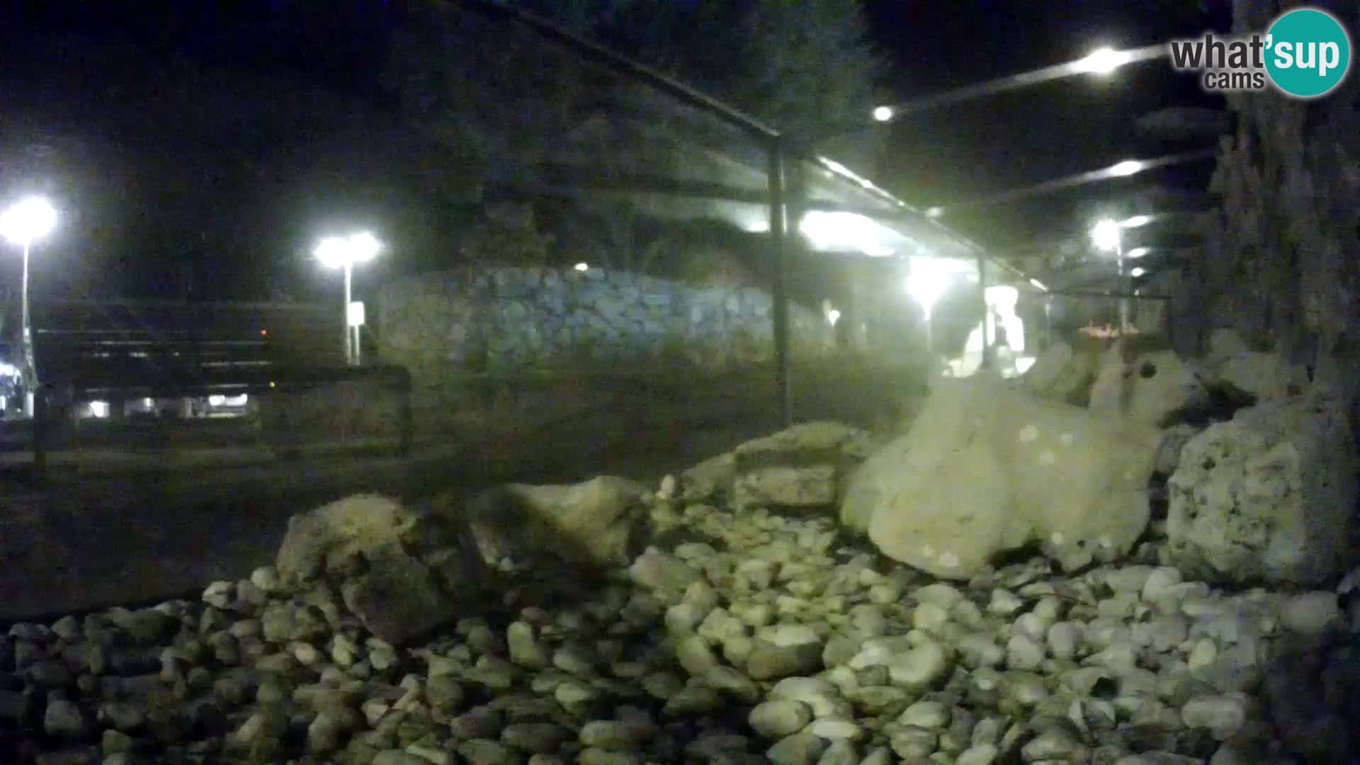 Marine Aquarium im Freien Rogoznica webcam Kroatien