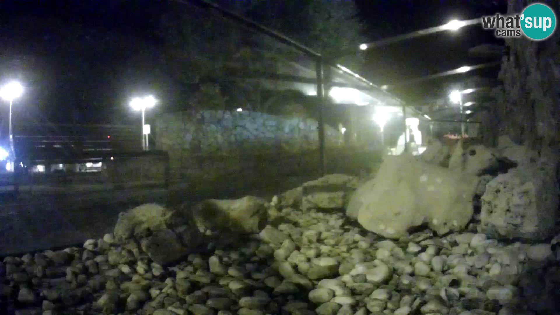 Zunanji morski akvarij Rogoznica spletna kamera Hrvaška