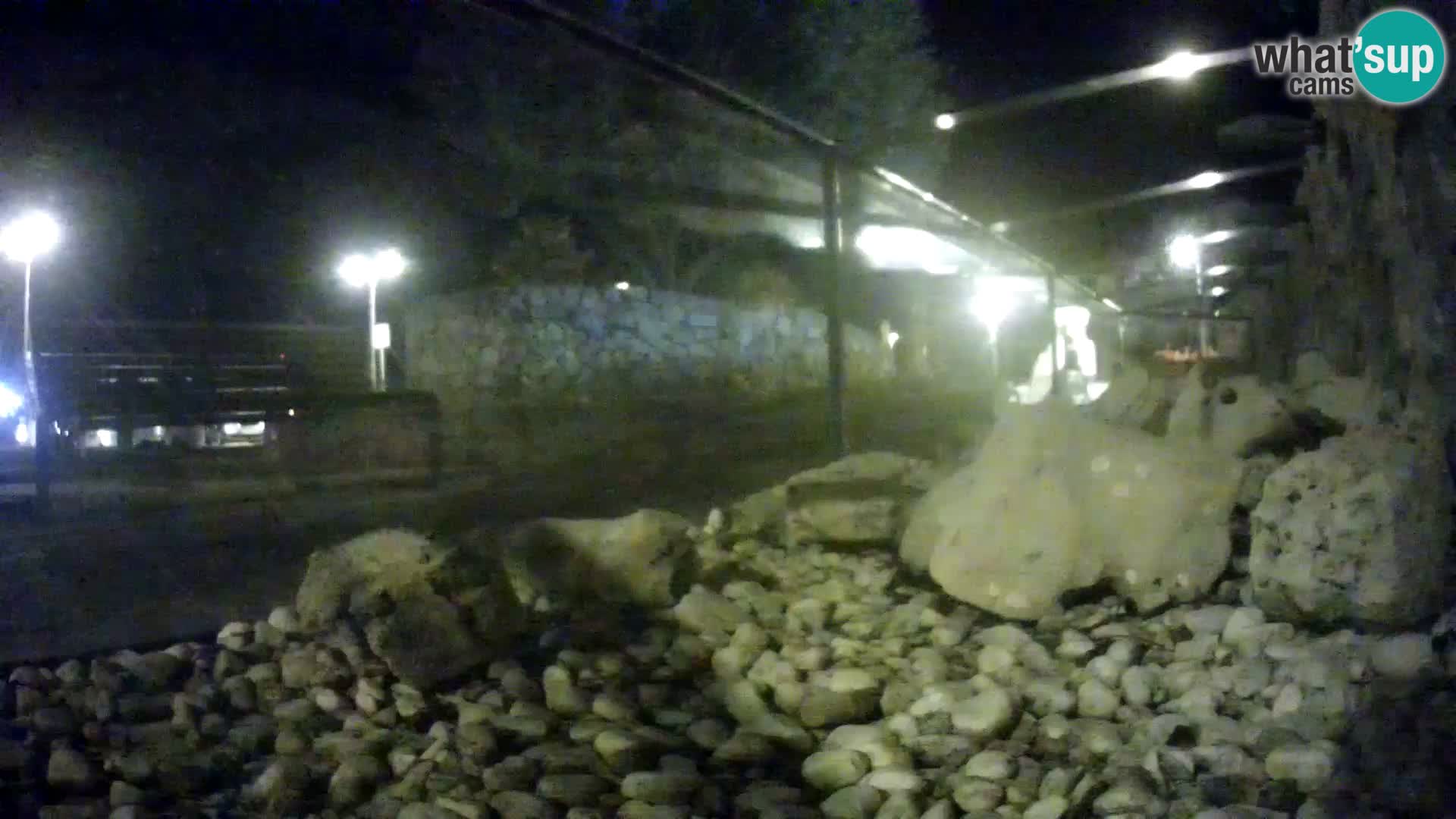 Outdoor Marine Aquarium Rogoznica webcam Croatia