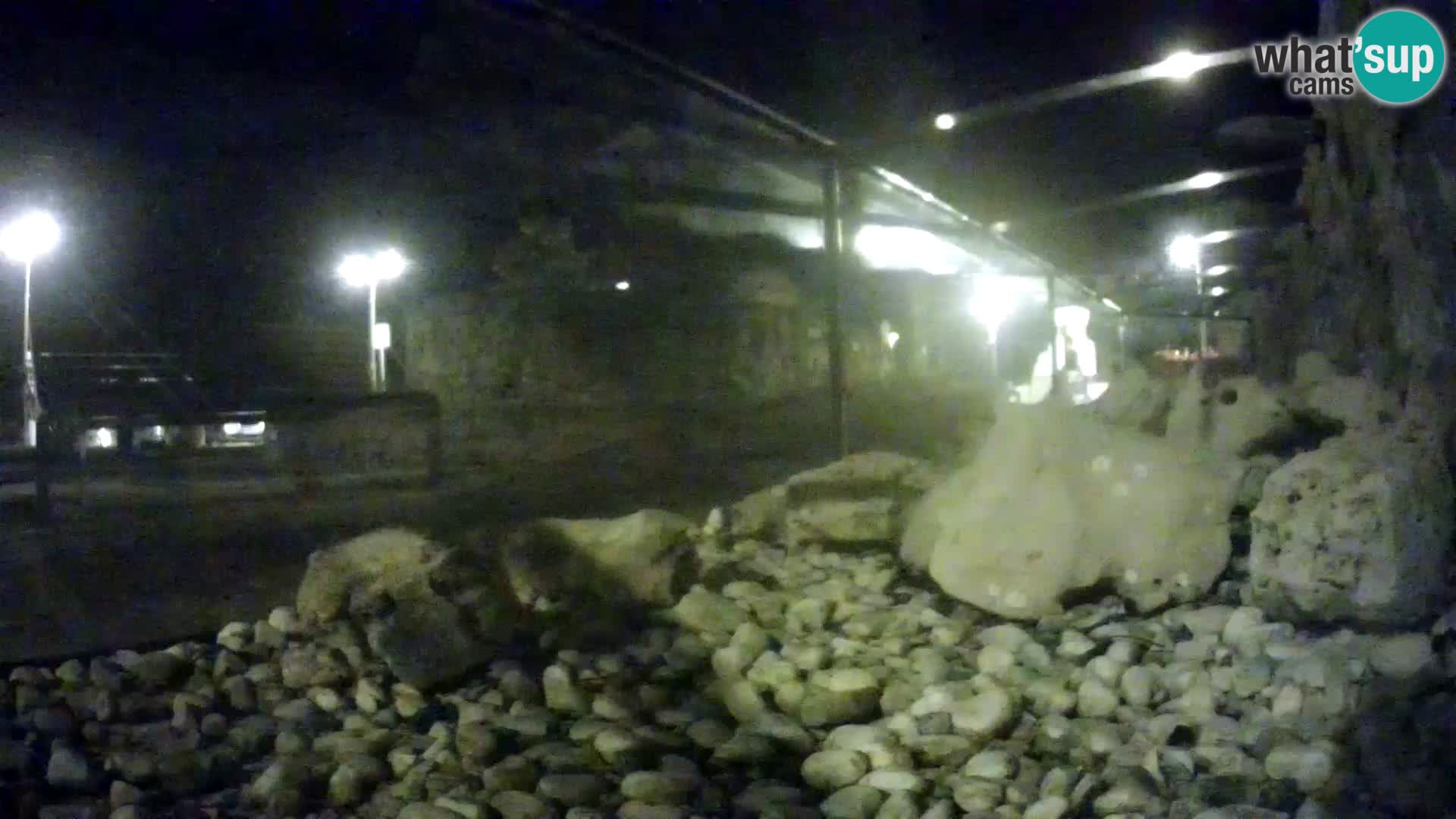 Webcam de l’aquarium marin extérieur de Rogoznica Croatie