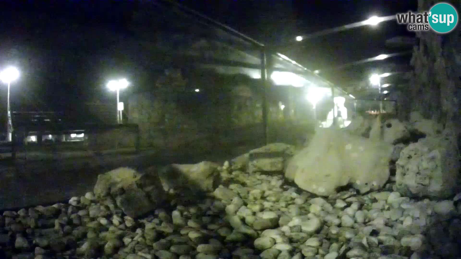 Marine Aquarium im Freien Rogoznica webcam Kroatien