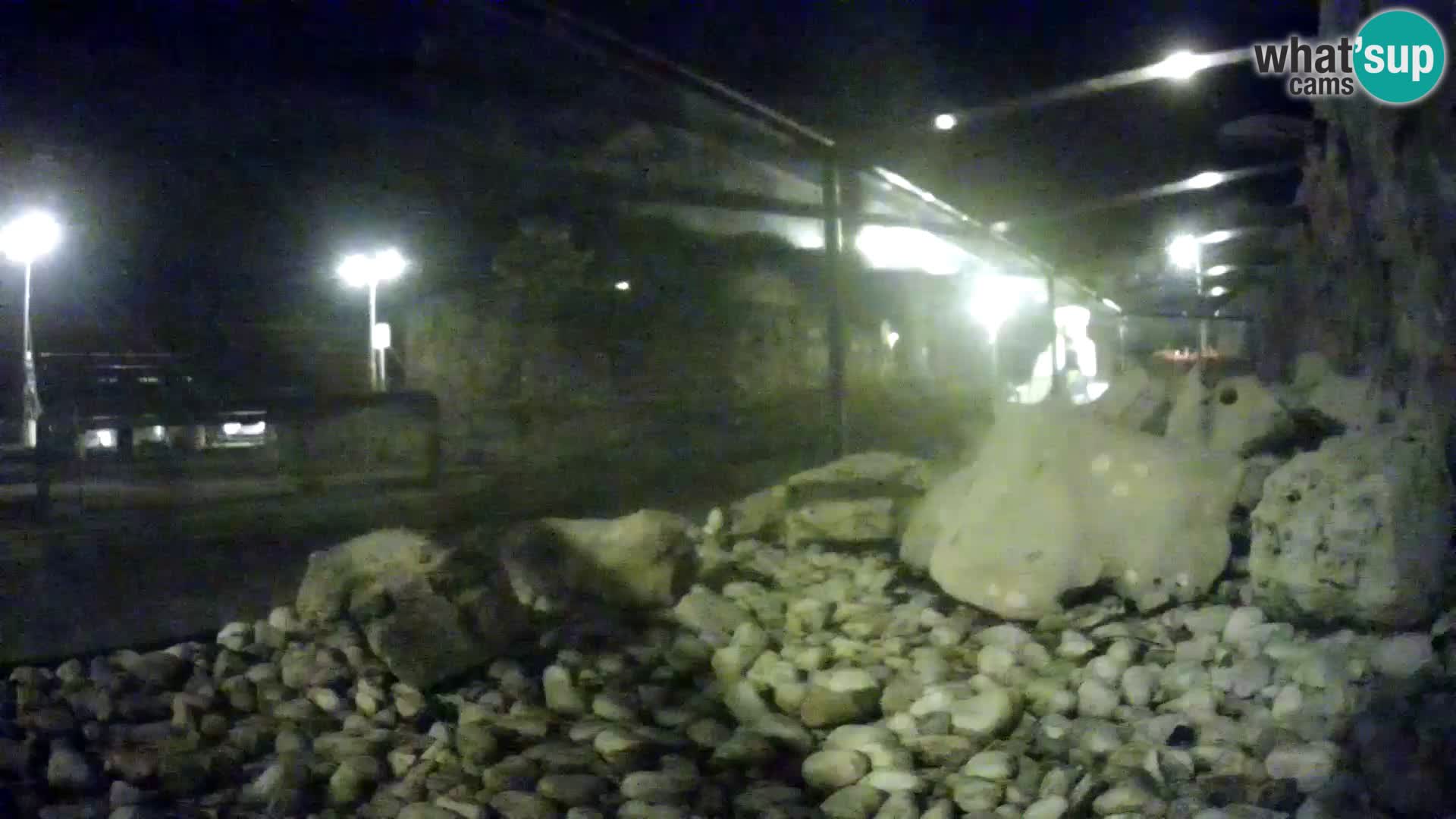 Marine Aquarium im Freien Rogoznica webcam Kroatien