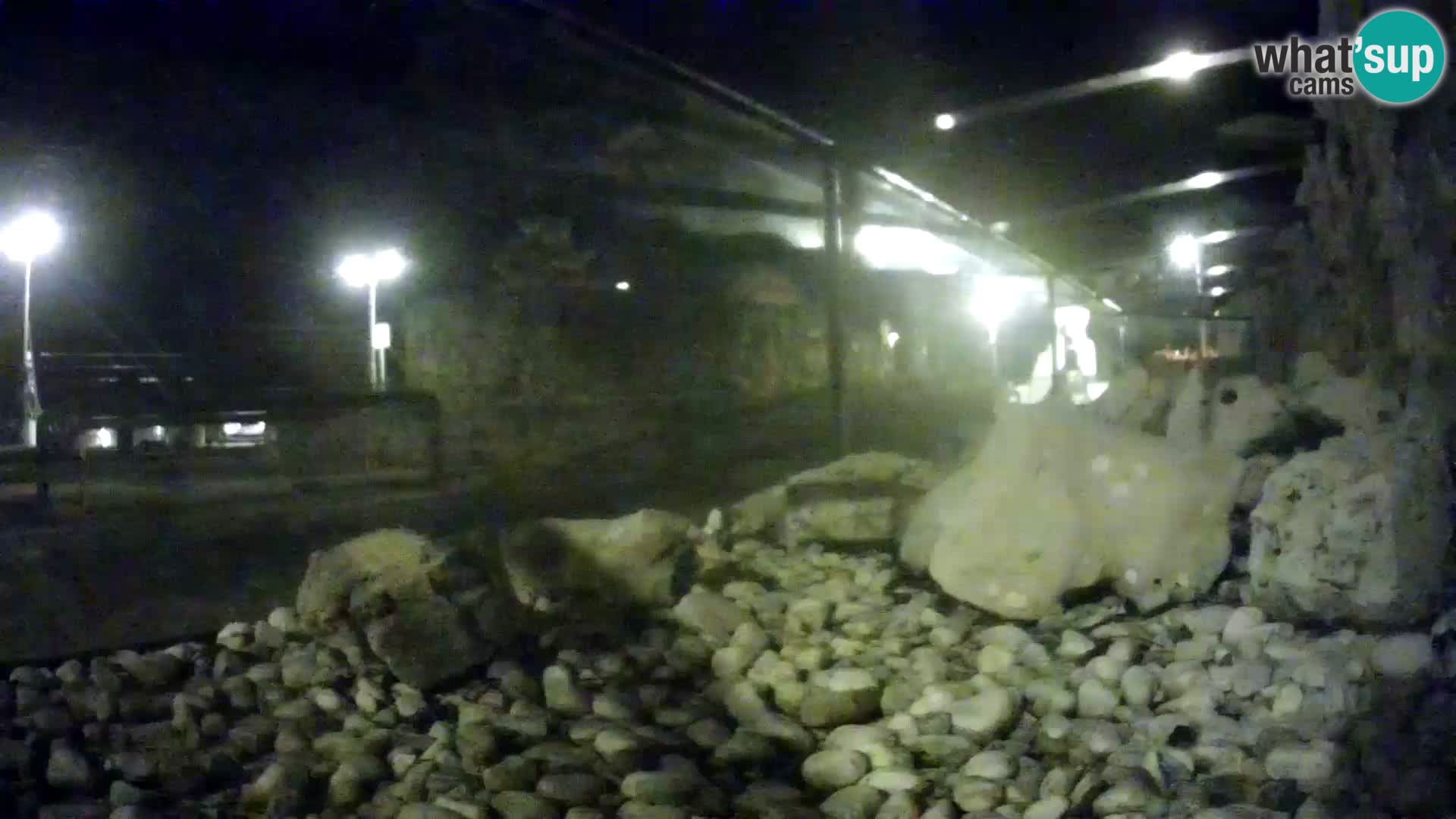 Webcam de l’aquarium marin extérieur de Rogoznica Croatie