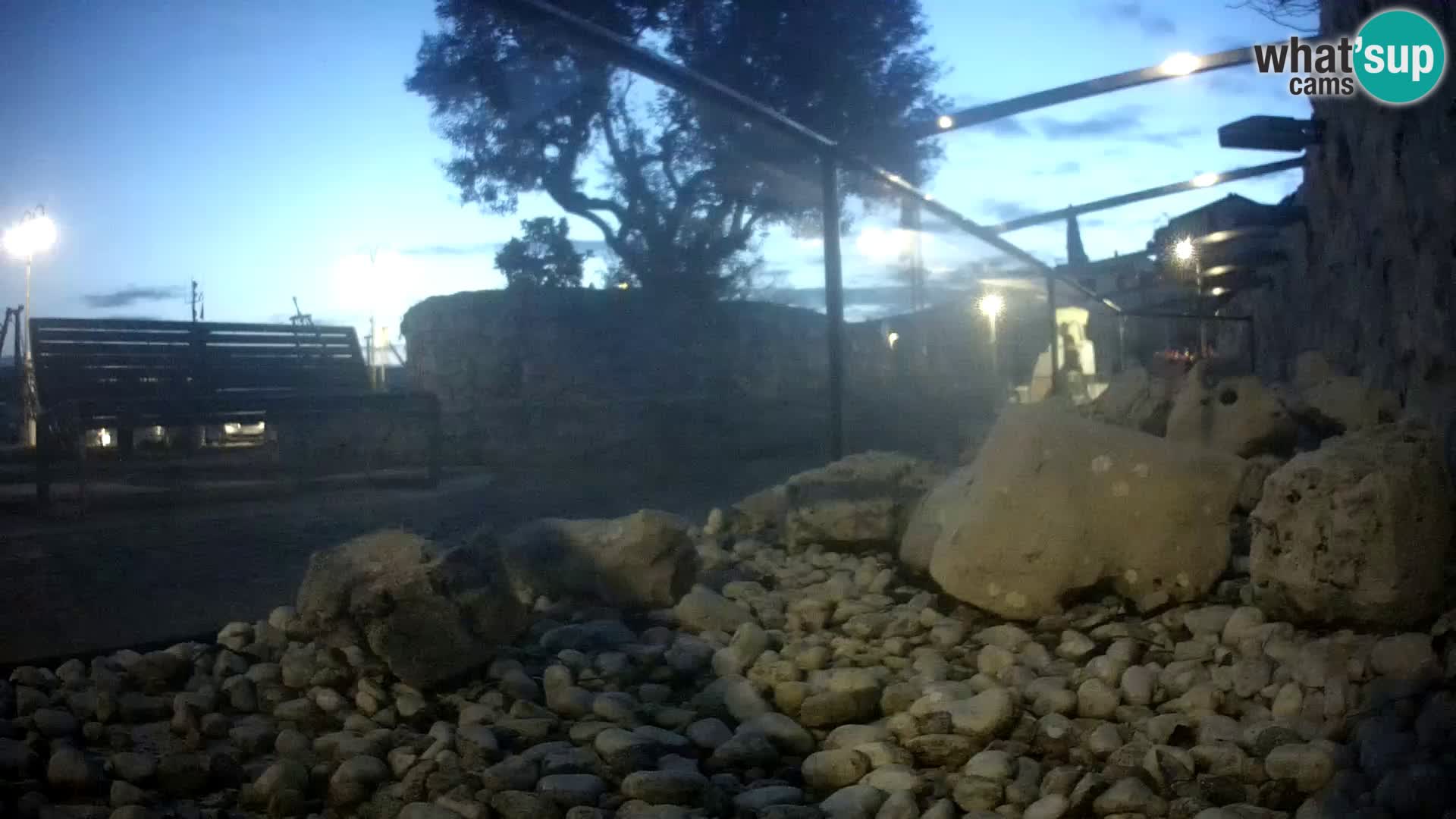 Zunanji morski akvarij Rogoznica spletna kamera Hrvaška