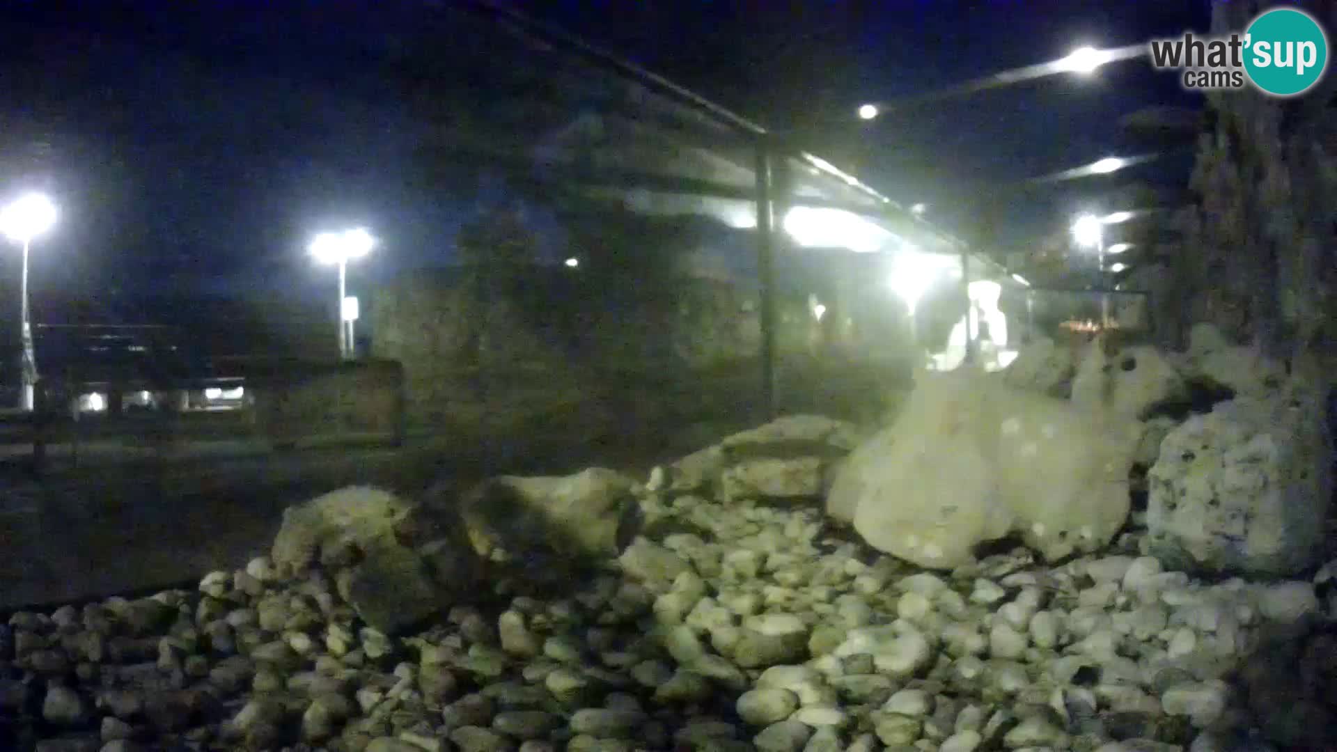 Outdoor Marine Aquarium Rogoznica webcam Croatia