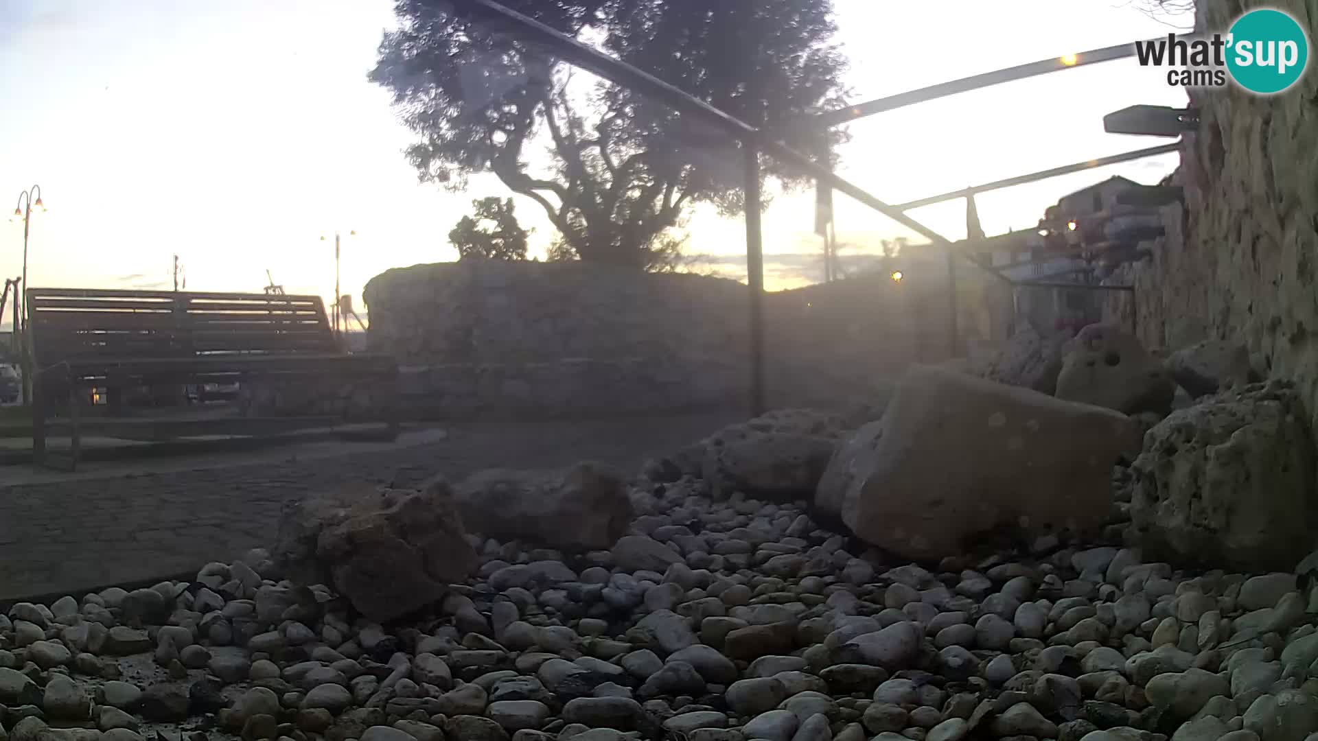 Vanjski morski akvarij Rogoznica web kamera Hrvatska