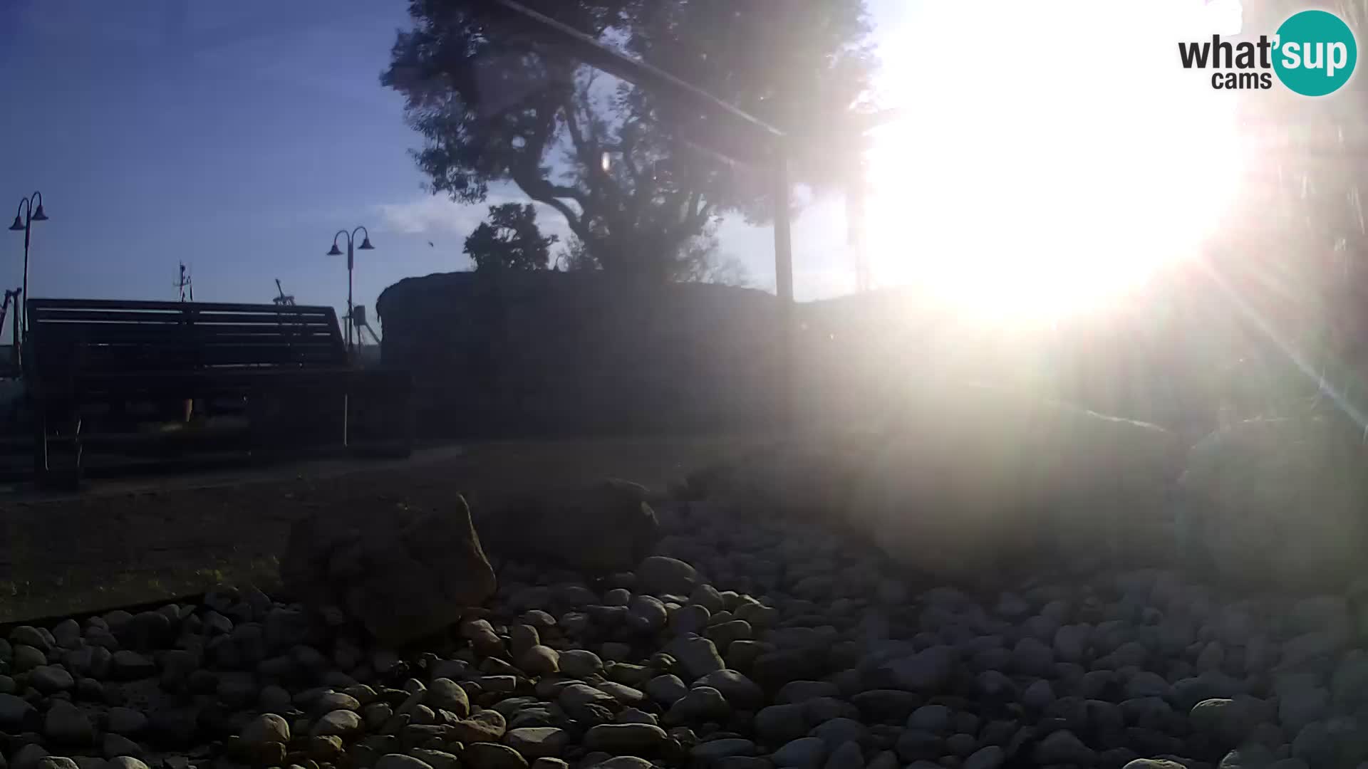 Outdoor Marine Aquarium Rogoznica webcam Croatia