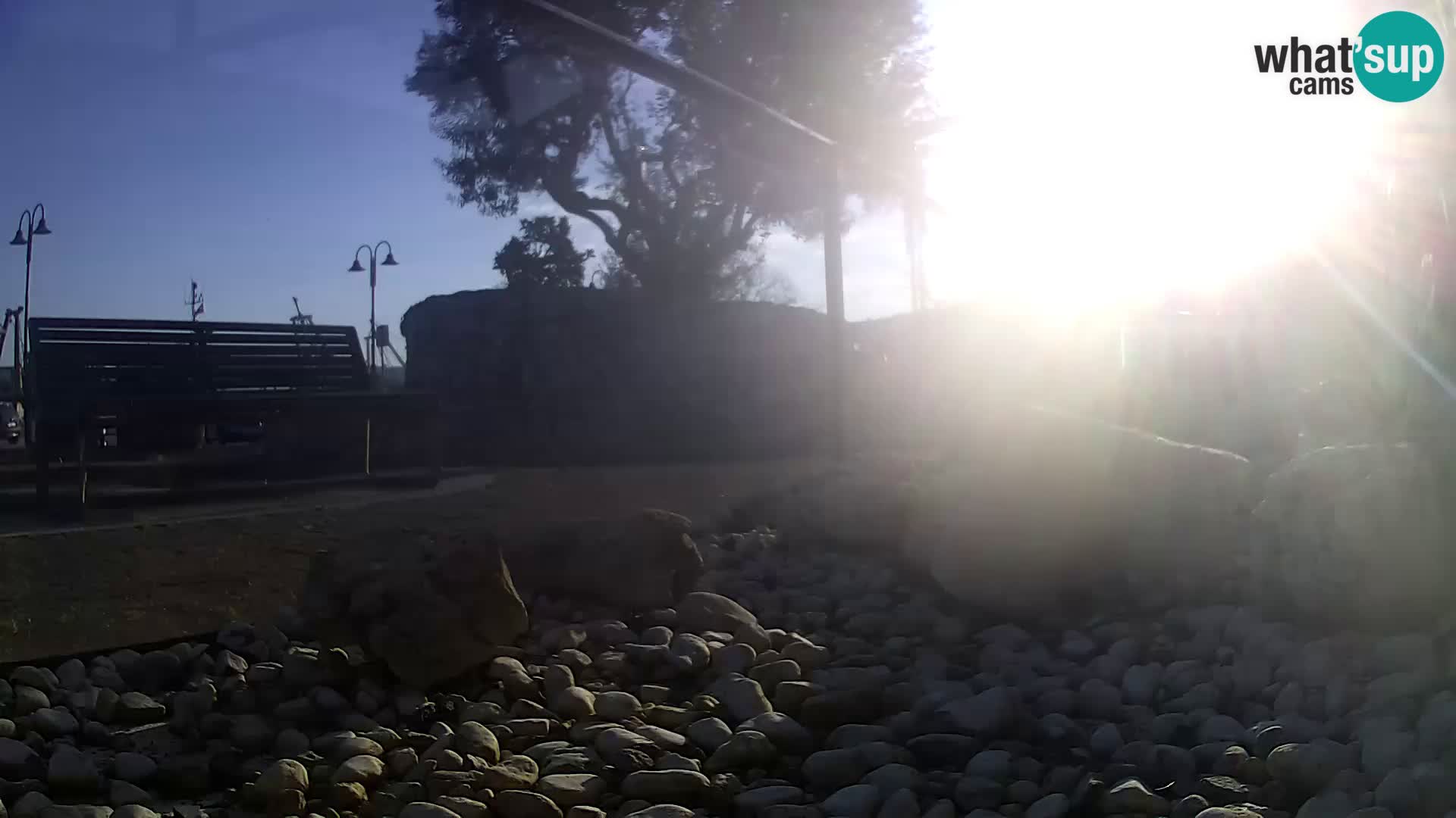 Marine Aquarium im Freien Rogoznica webcam Kroatien