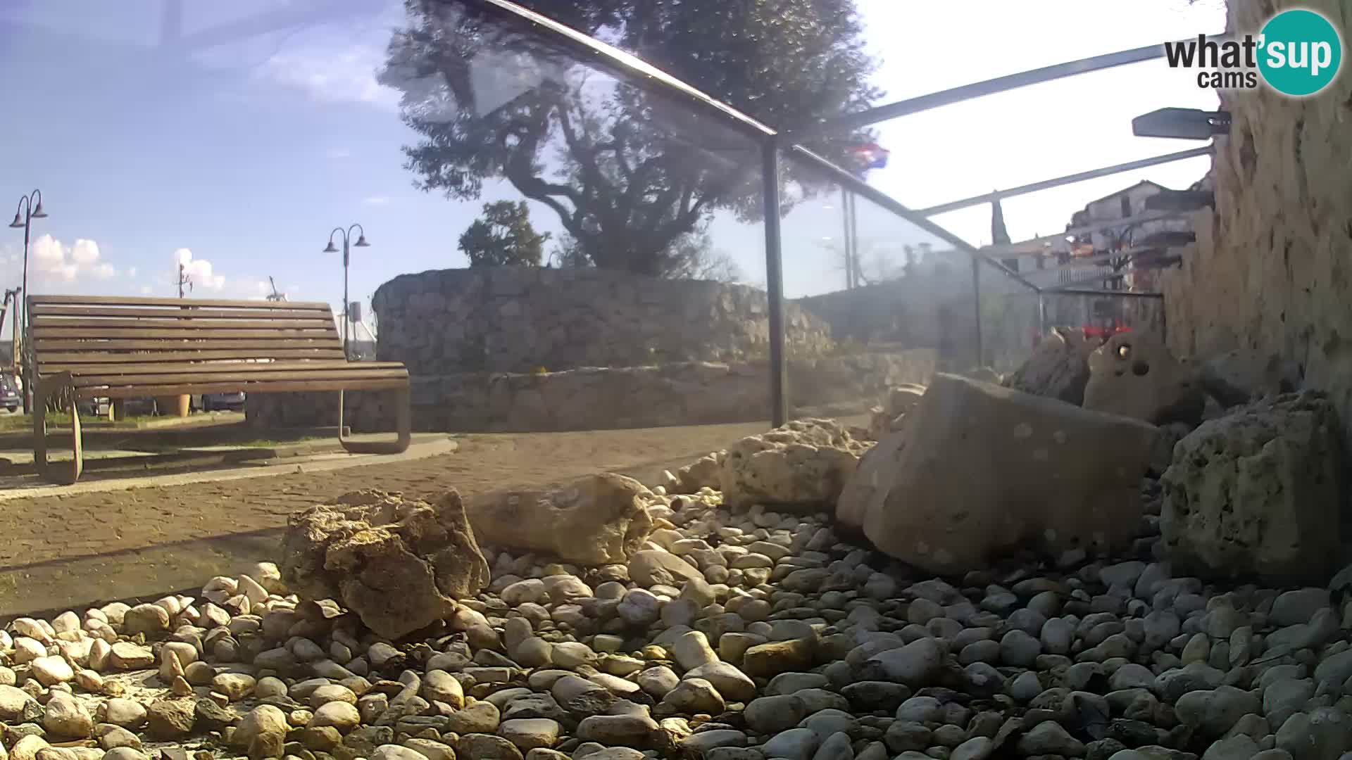 Acuario marino al aire libre Rogoznica webcam Croacia