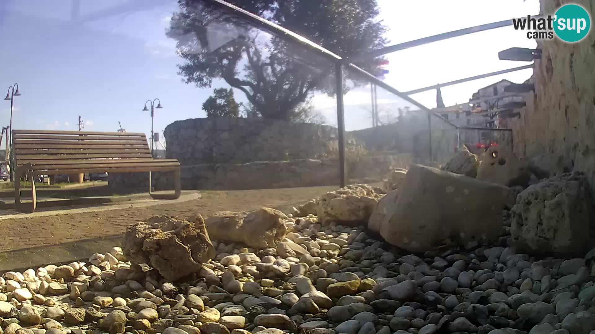 Marine Aquarium im Freien Rogoznica webcam Kroatien