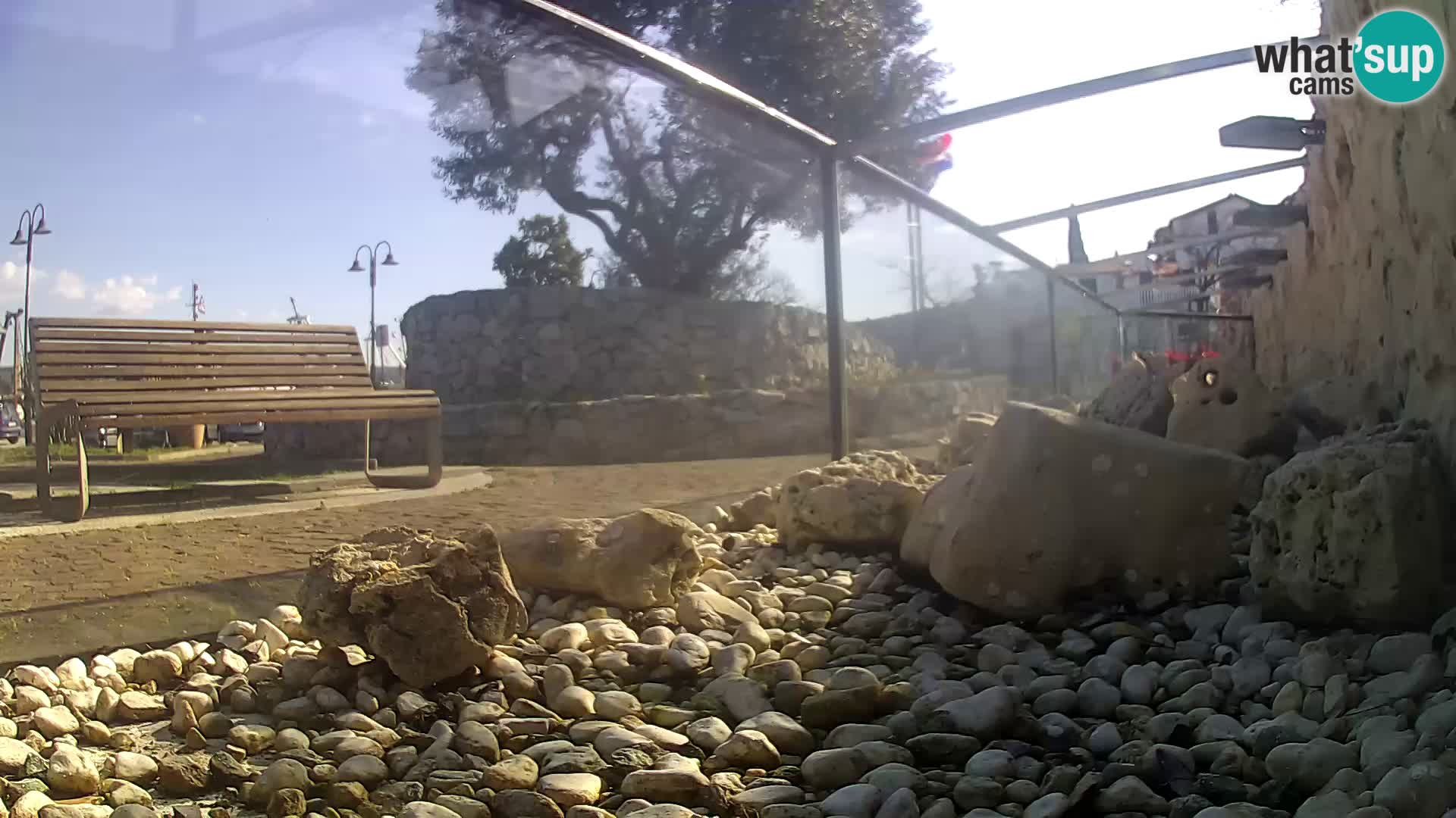 Marine Aquarium im Freien Rogoznica webcam Kroatien