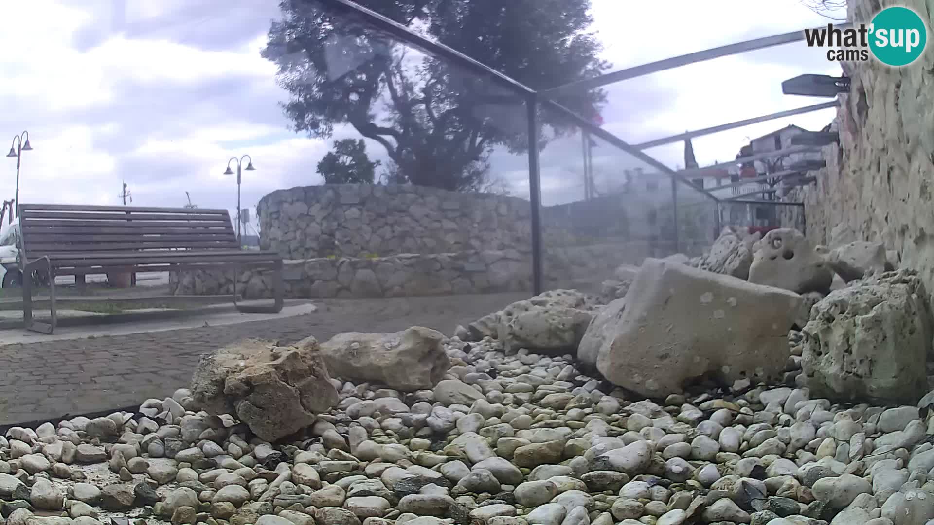 Aquario marino esterno –  Rogoznica livecam Croazia