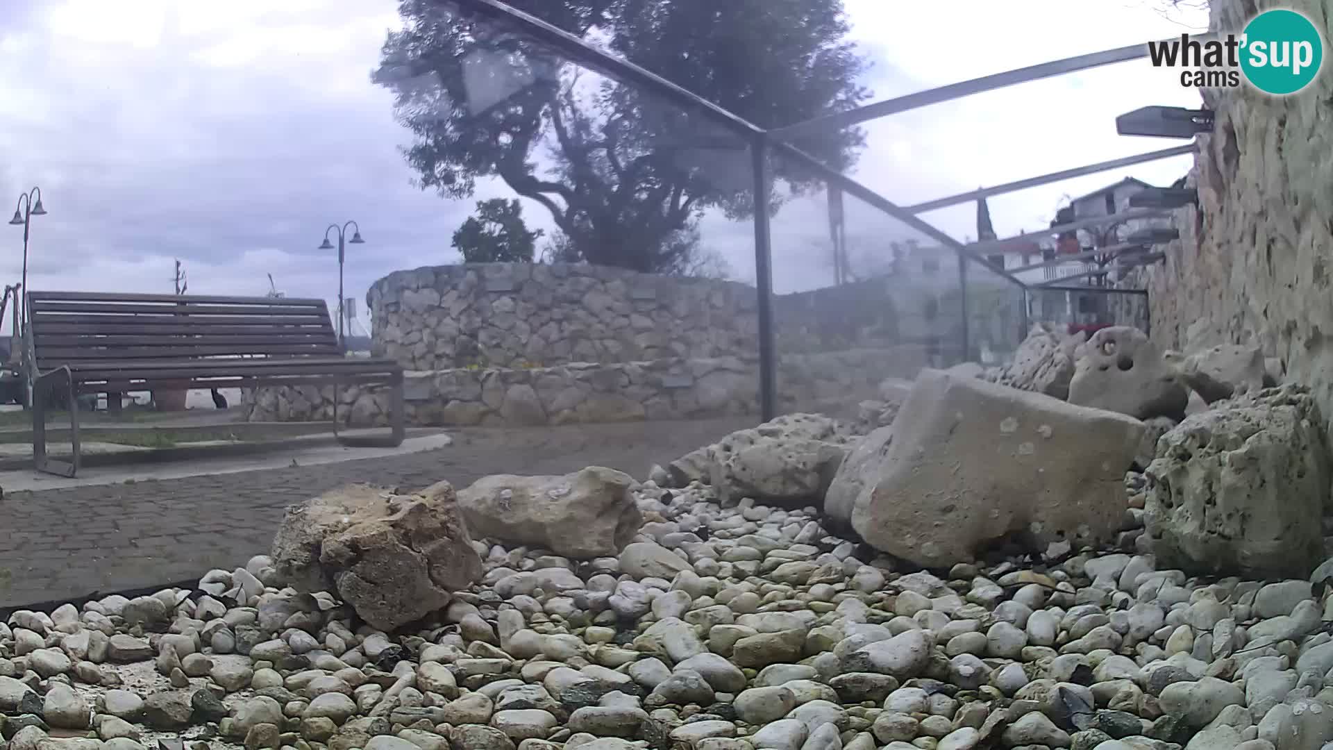 Outdoor Marine Aquarium Rogoznica webcam Croatia