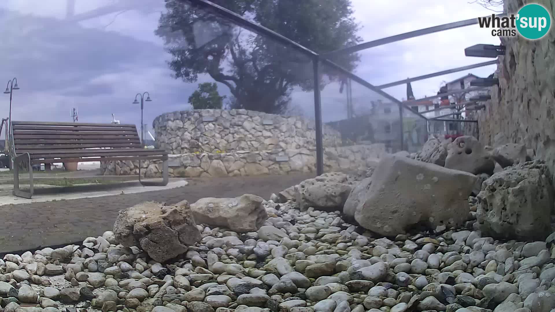 Webcam de l’aquarium marin extérieur de Rogoznica Croatie