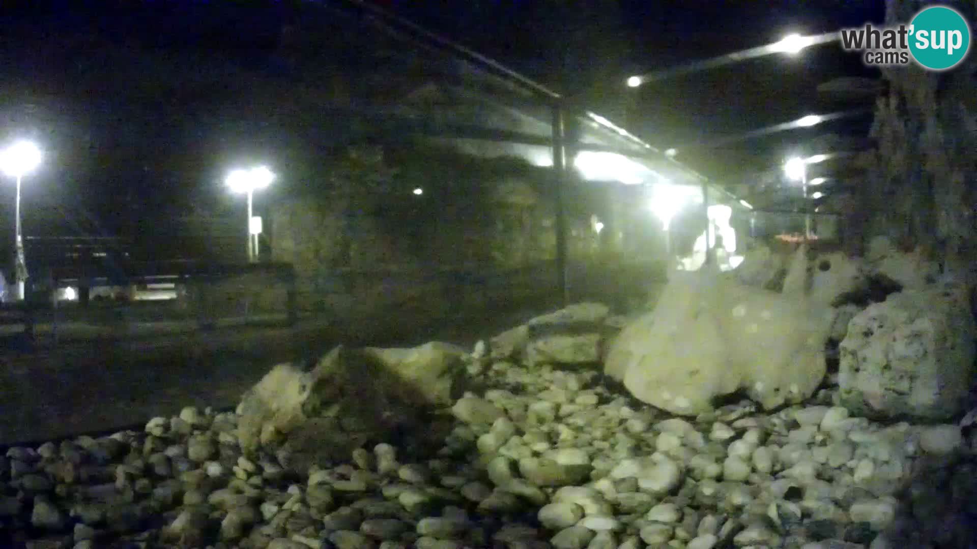 Marine Aquarium im Freien Rogoznica webcam Kroatien