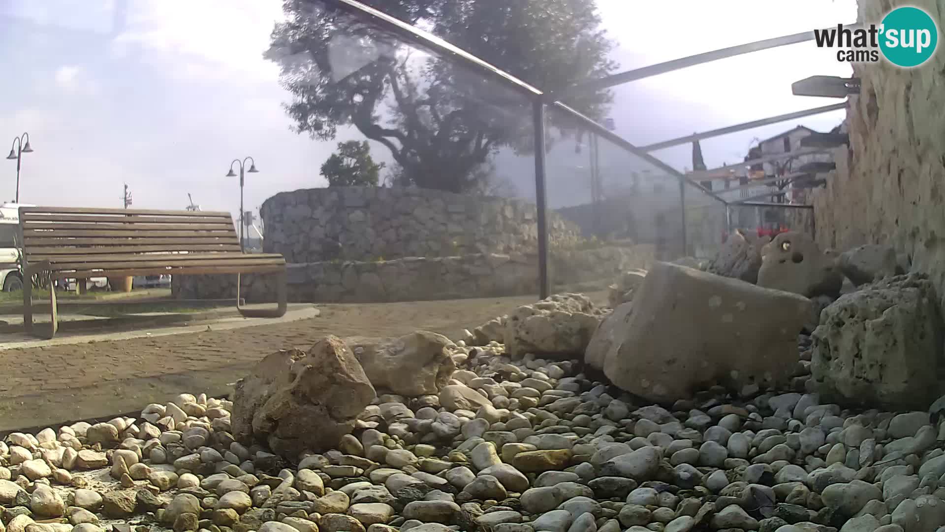 Marine Aquarium im Freien Rogoznica webcam Kroatien