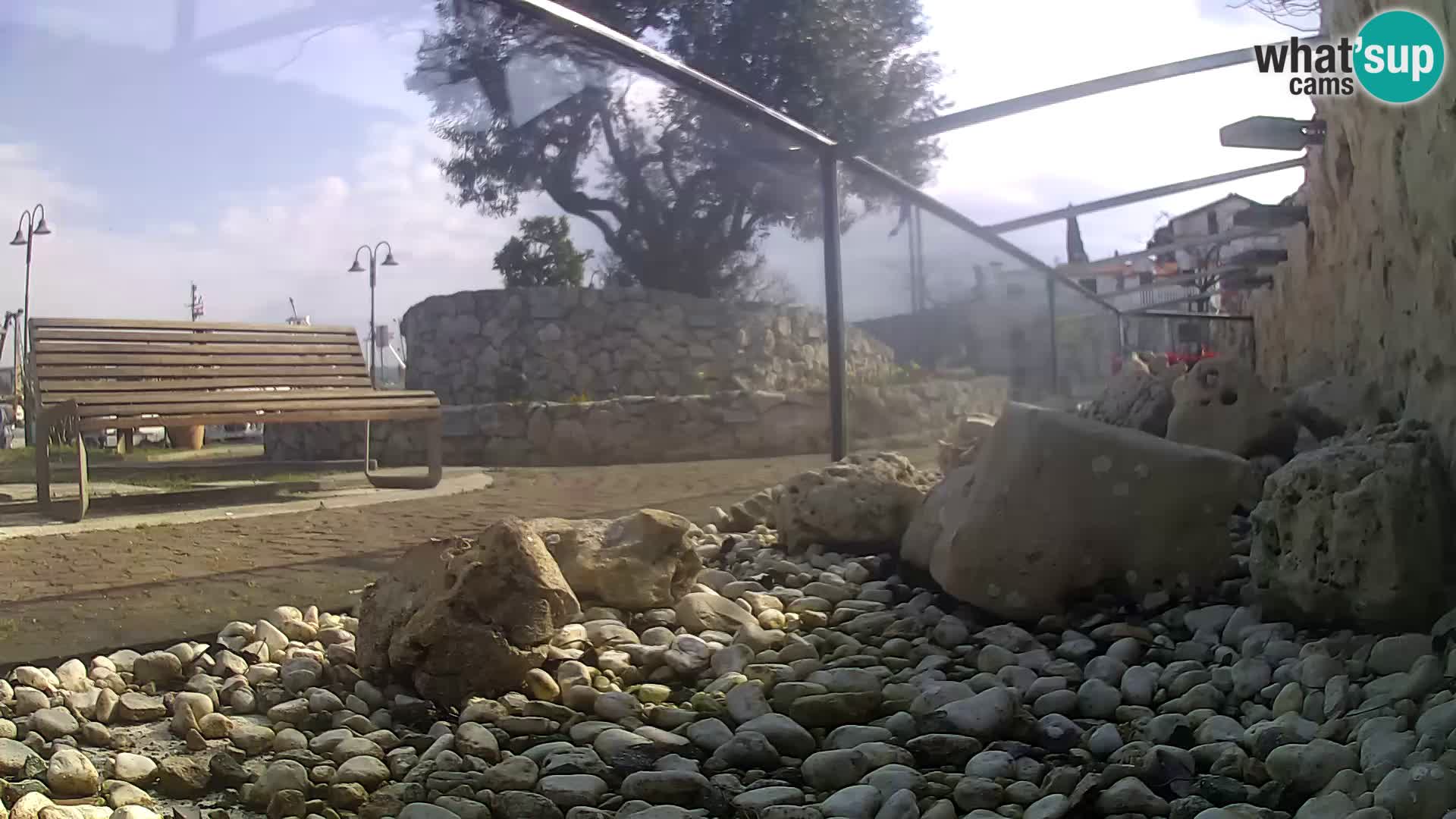 Marine Aquarium im Freien Rogoznica webcam Kroatien