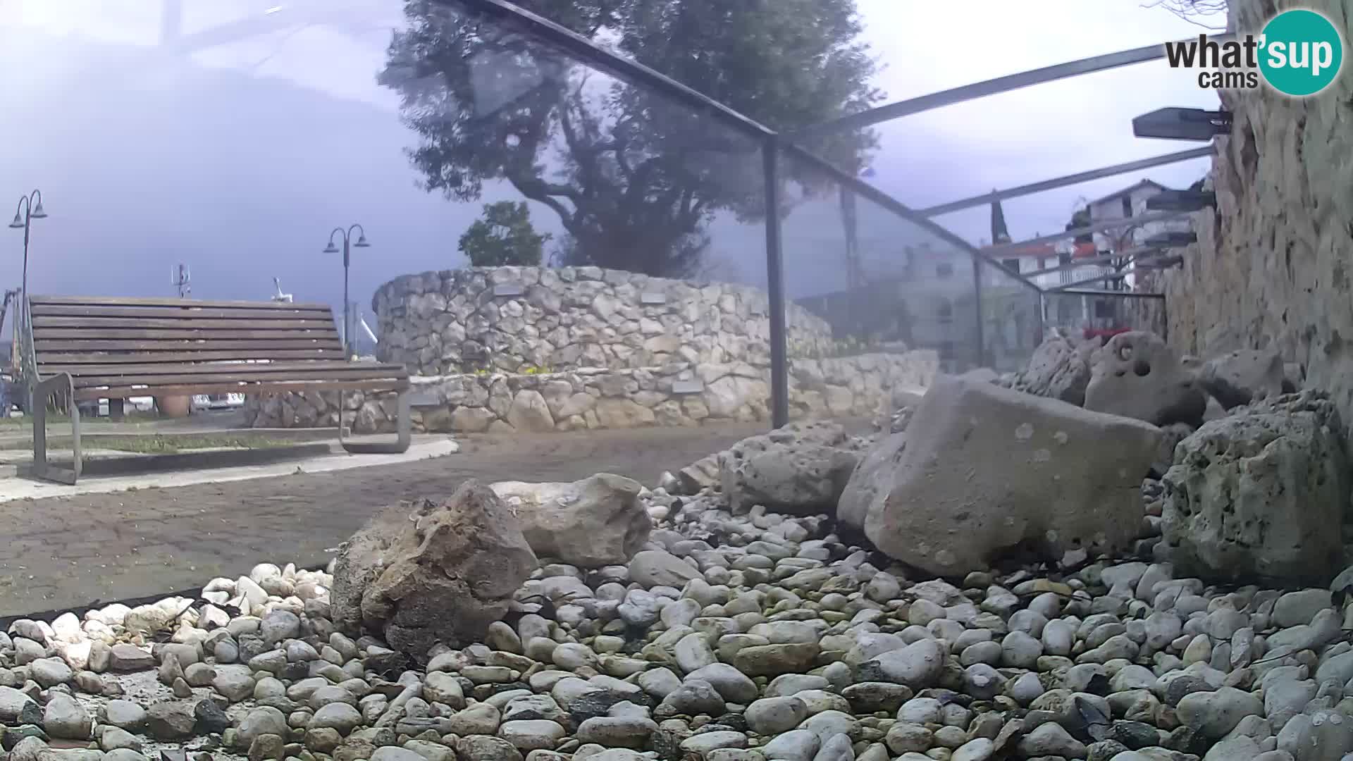 Outdoor Marine Aquarium Rogoznica webcam Croatia