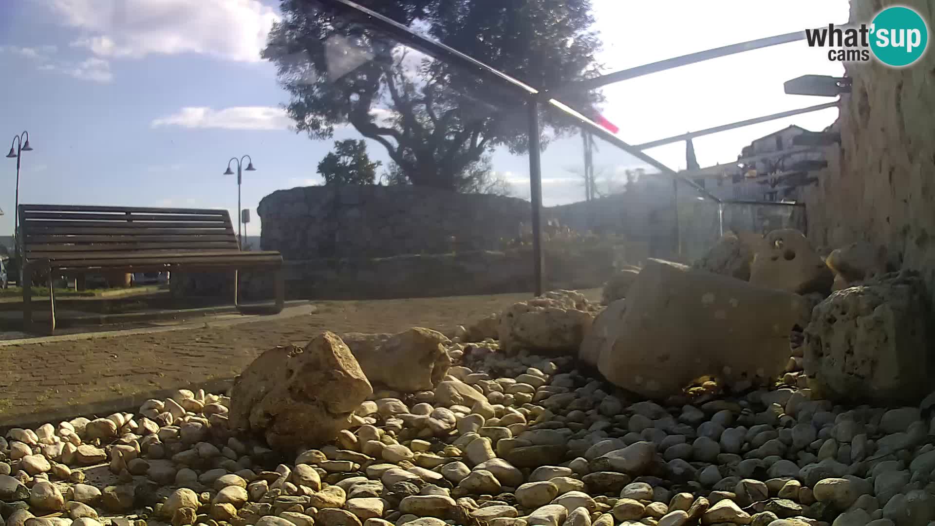 Outdoor Marine Aquarium Rogoznica webcam Croatia