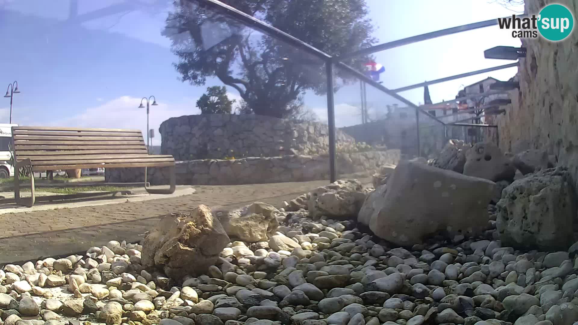 Outdoor Marine Aquarium Rogoznica webcam Croatia