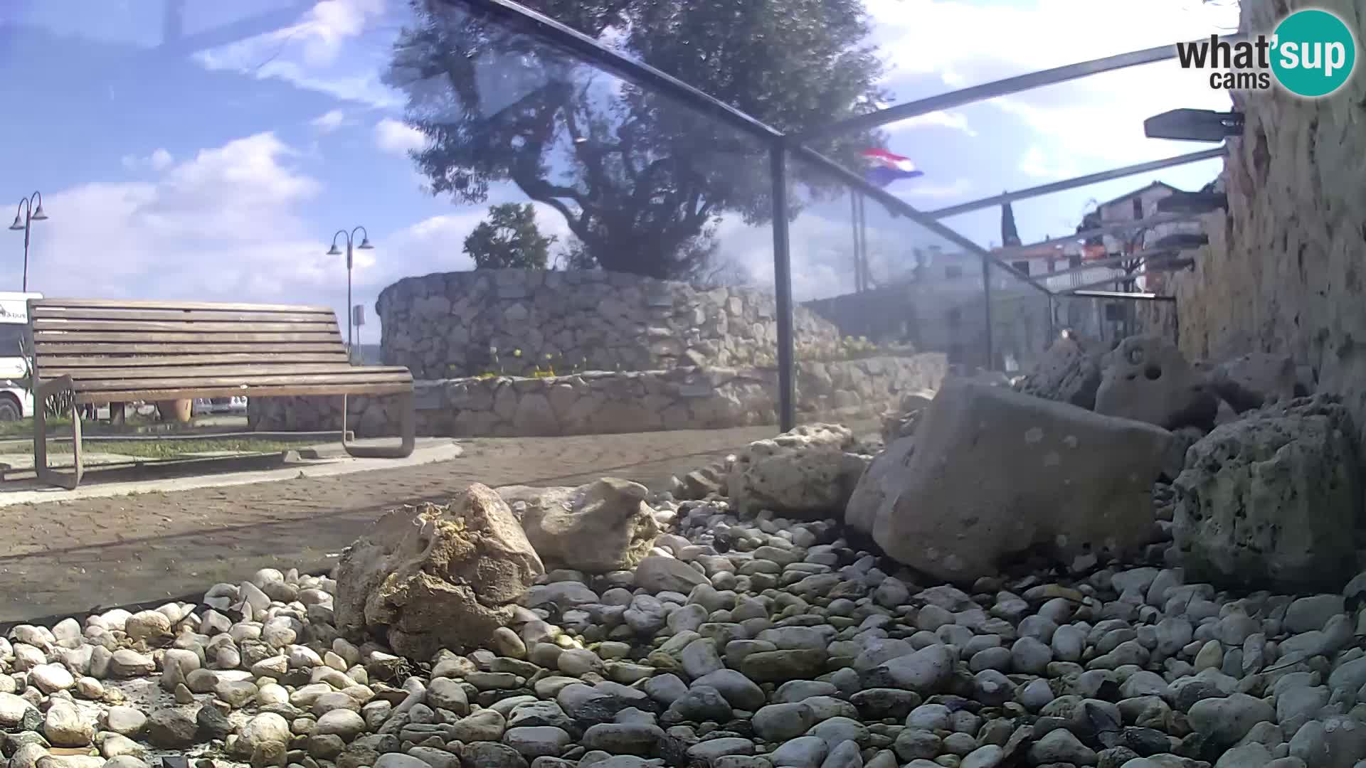 Webcam de l’aquarium marin extérieur de Rogoznica Croatie