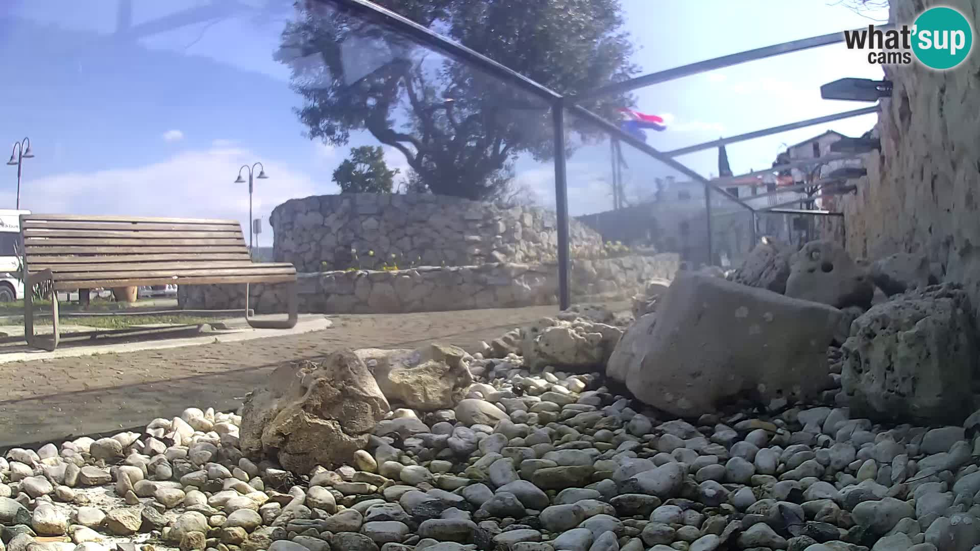 Webcam de l’aquarium marin extérieur de Rogoznica Croatie
