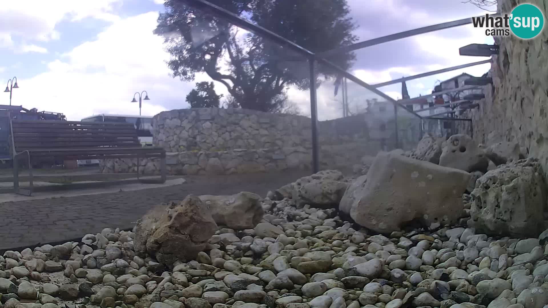 Acuario marino al aire libre Rogoznica webcam Croacia